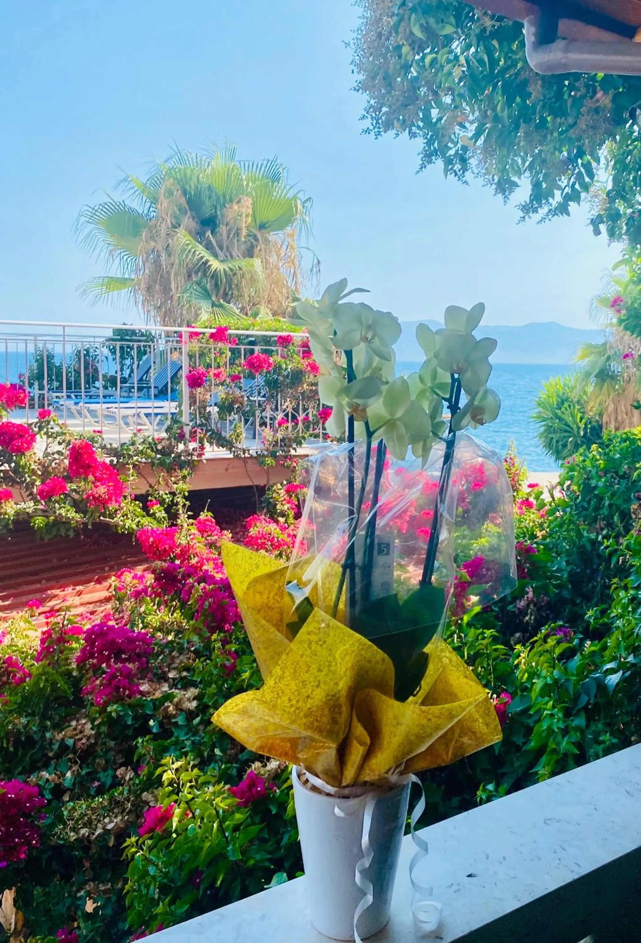 Kalemi's Beachside Hotel