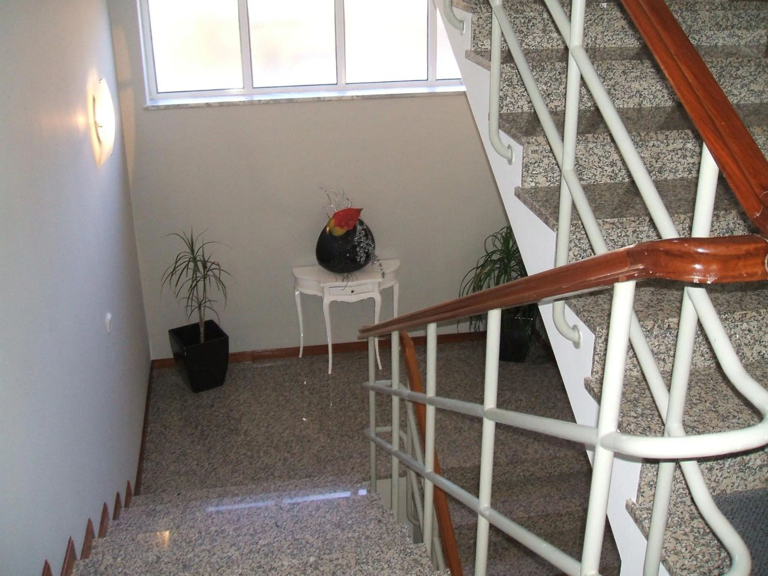 Area and facilities in Hotel Boavista II