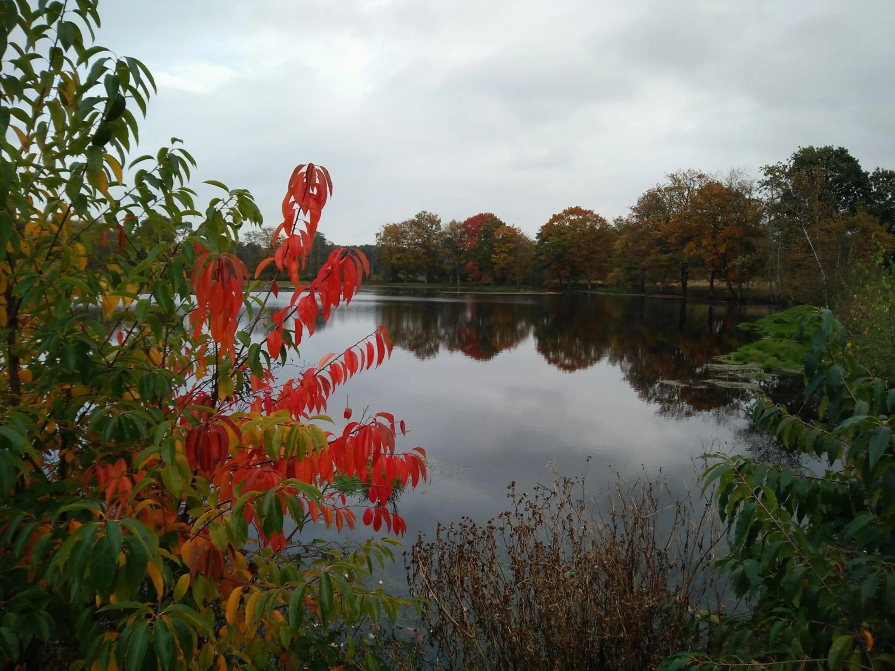 Neighbourhood in B&B Tspijker