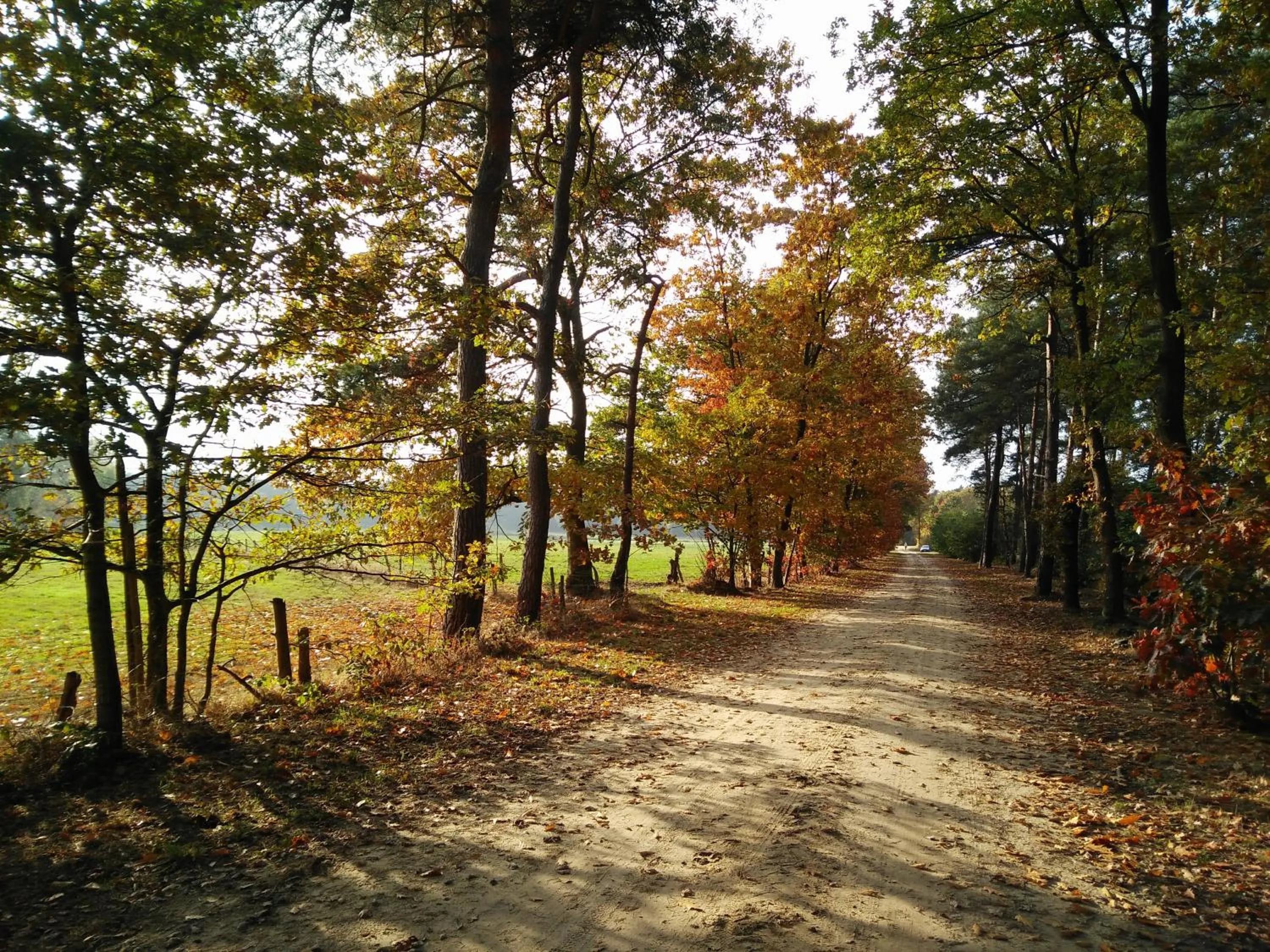 Neighbourhood in B&B Tspijker