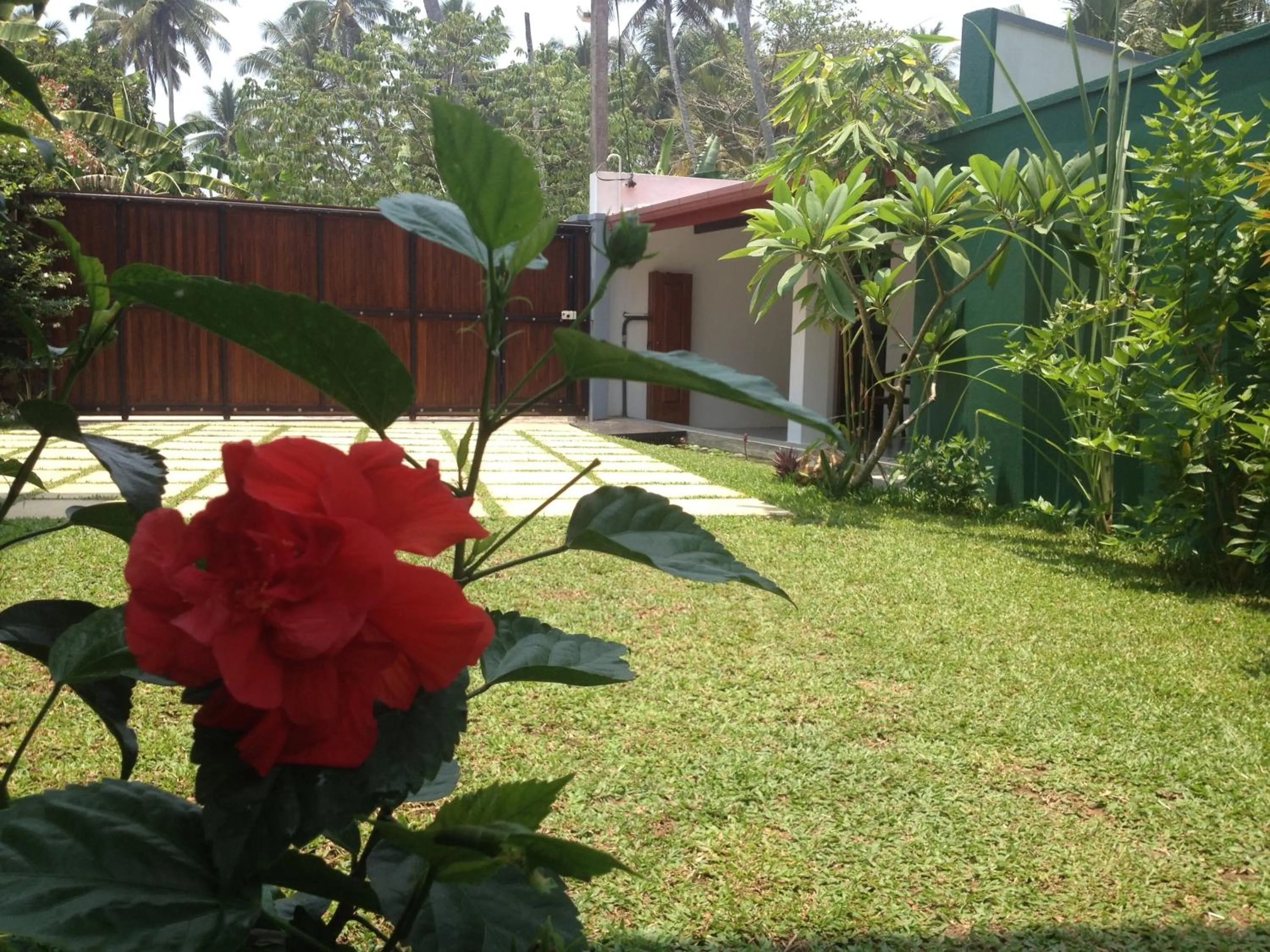 Natural landscape in Thisara Villa