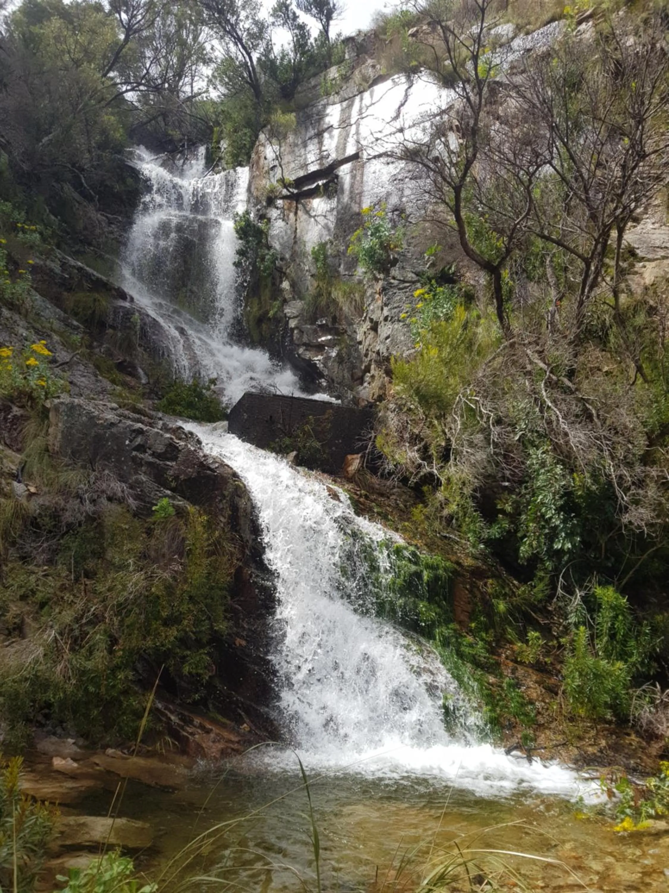 Natural landscape in Le Petit Bijou Aparthotel