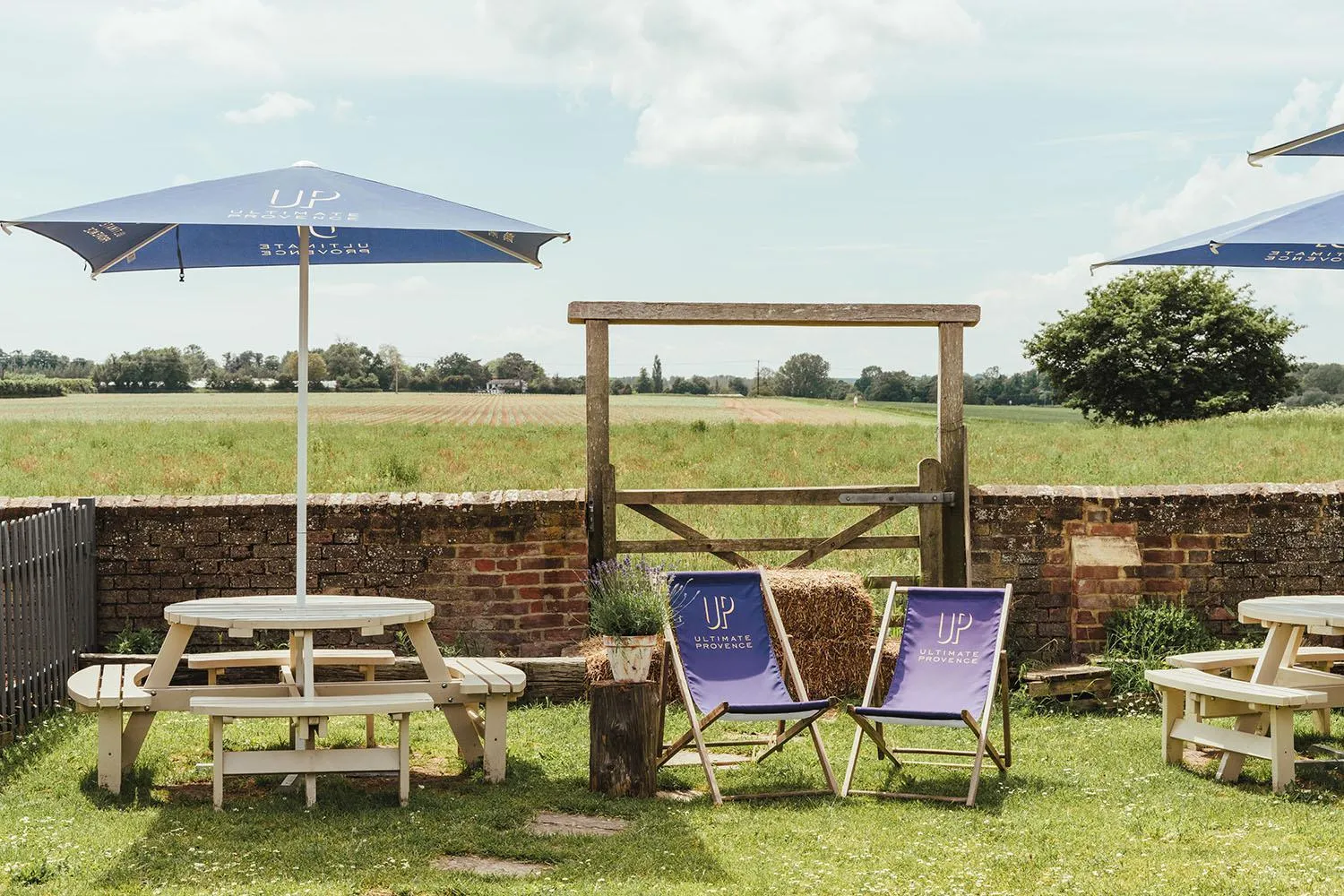 Garden in The Duke William