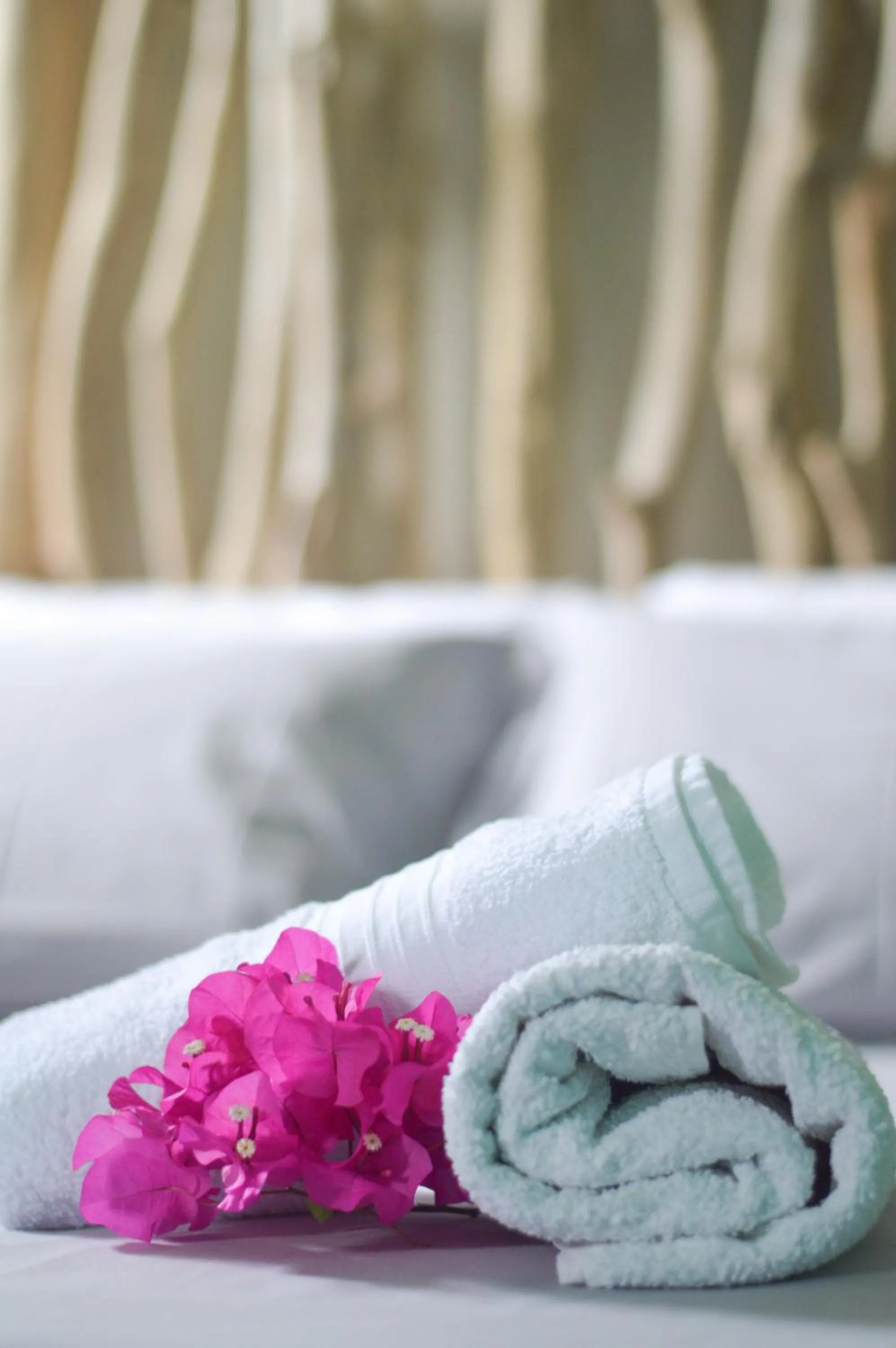 Other, Bed in Tante Arlette