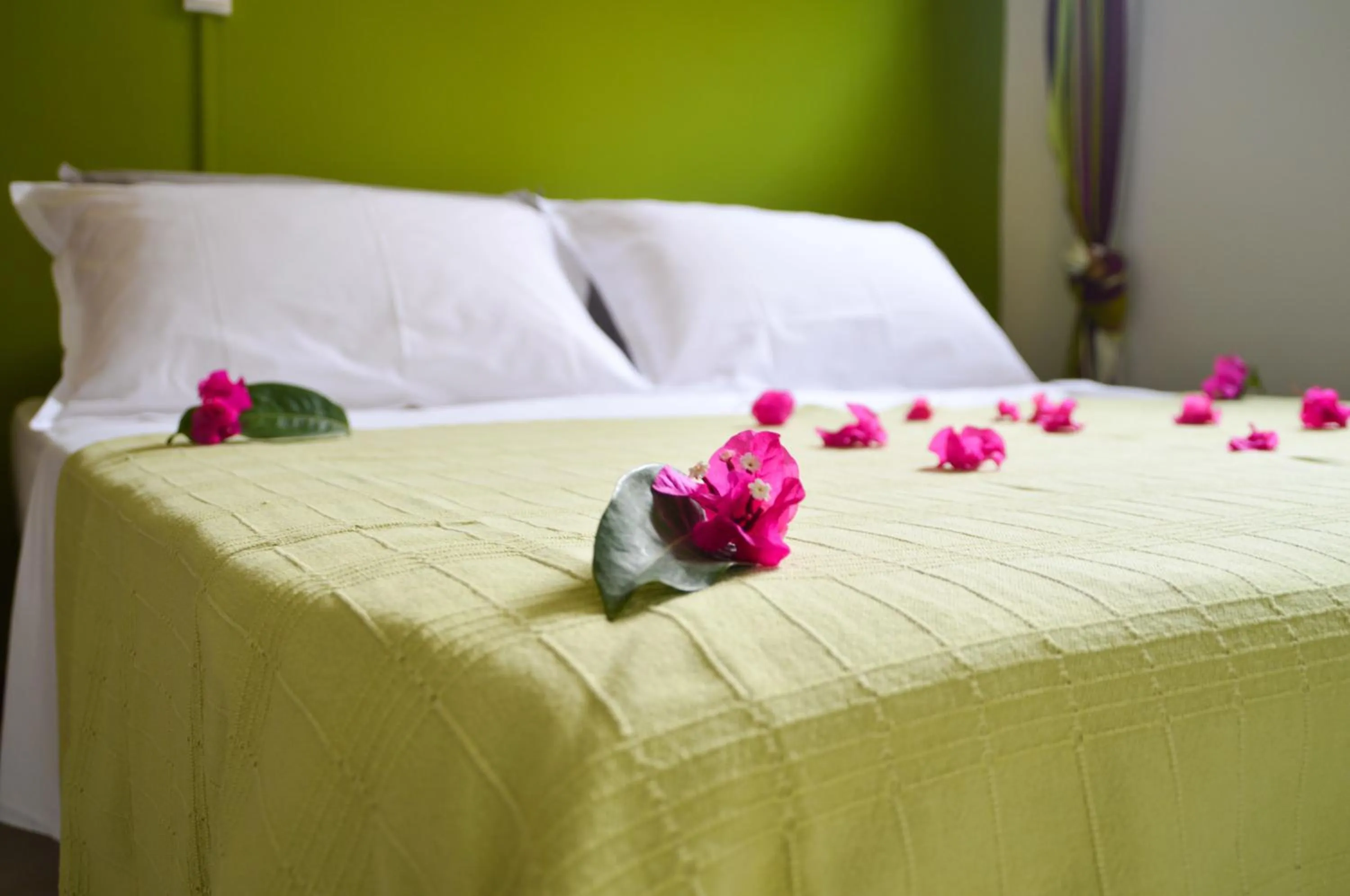 Property building, Bed in Tante Arlette