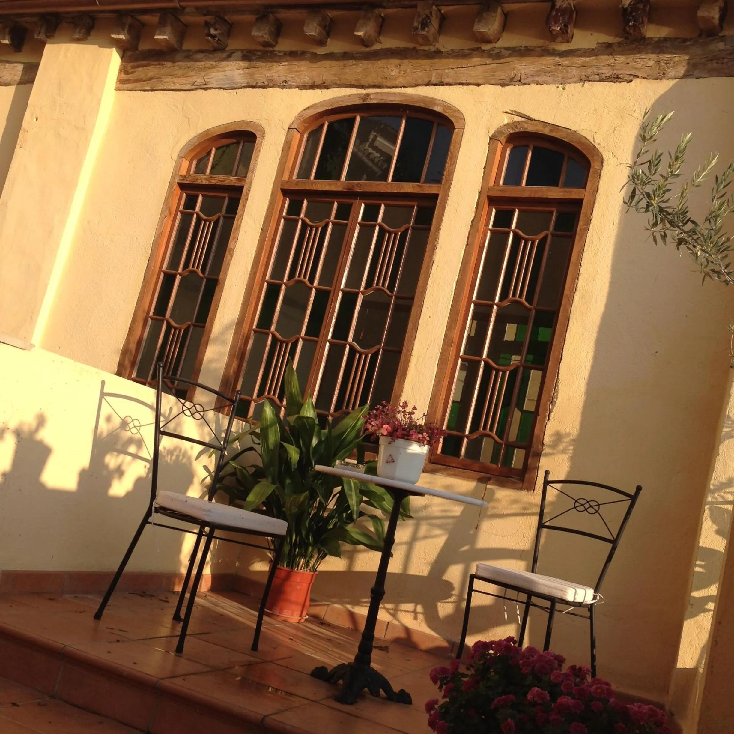 Garden in Cal Comabella