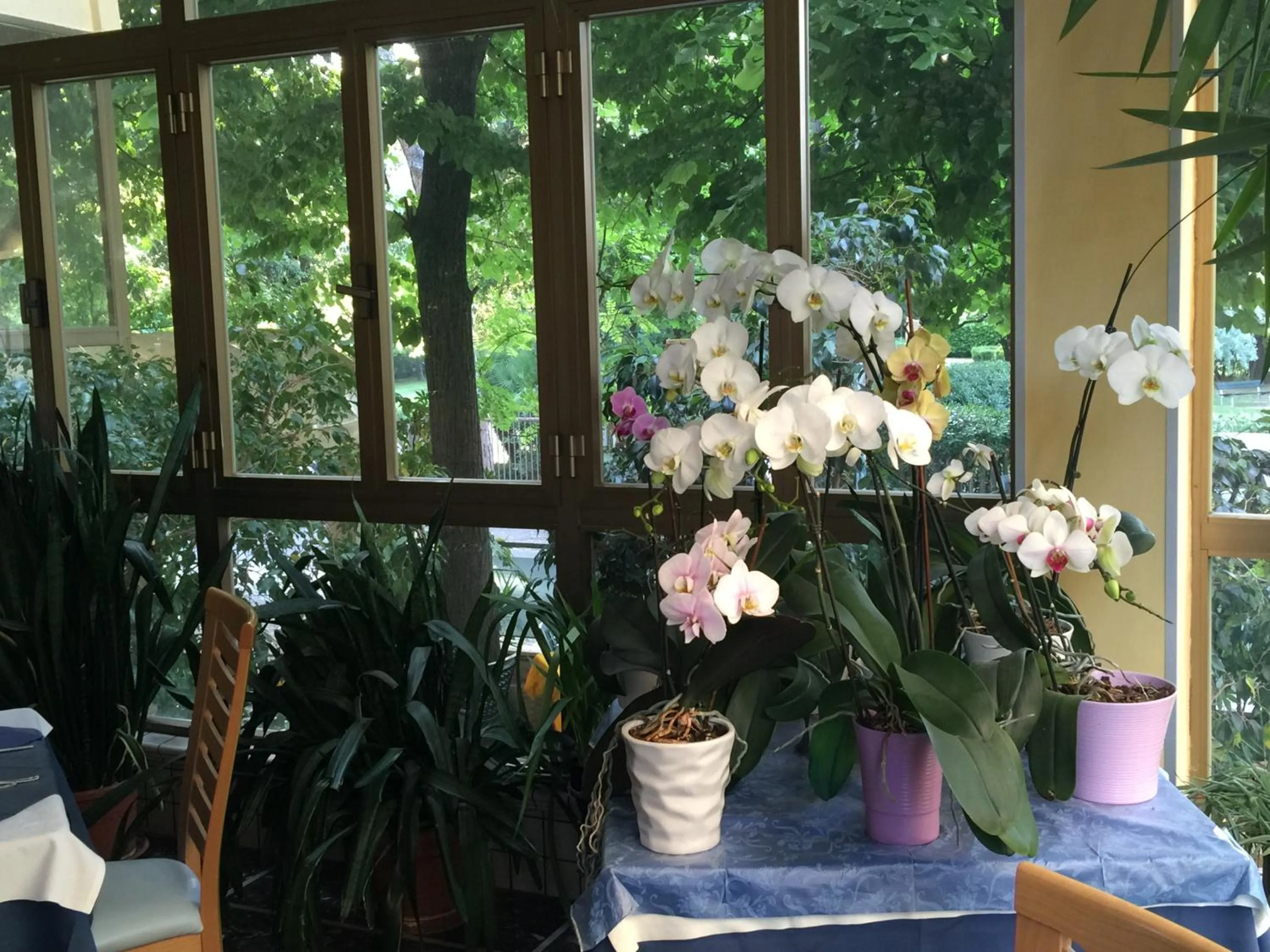 Restaurant/places to eat in Hotel Athena