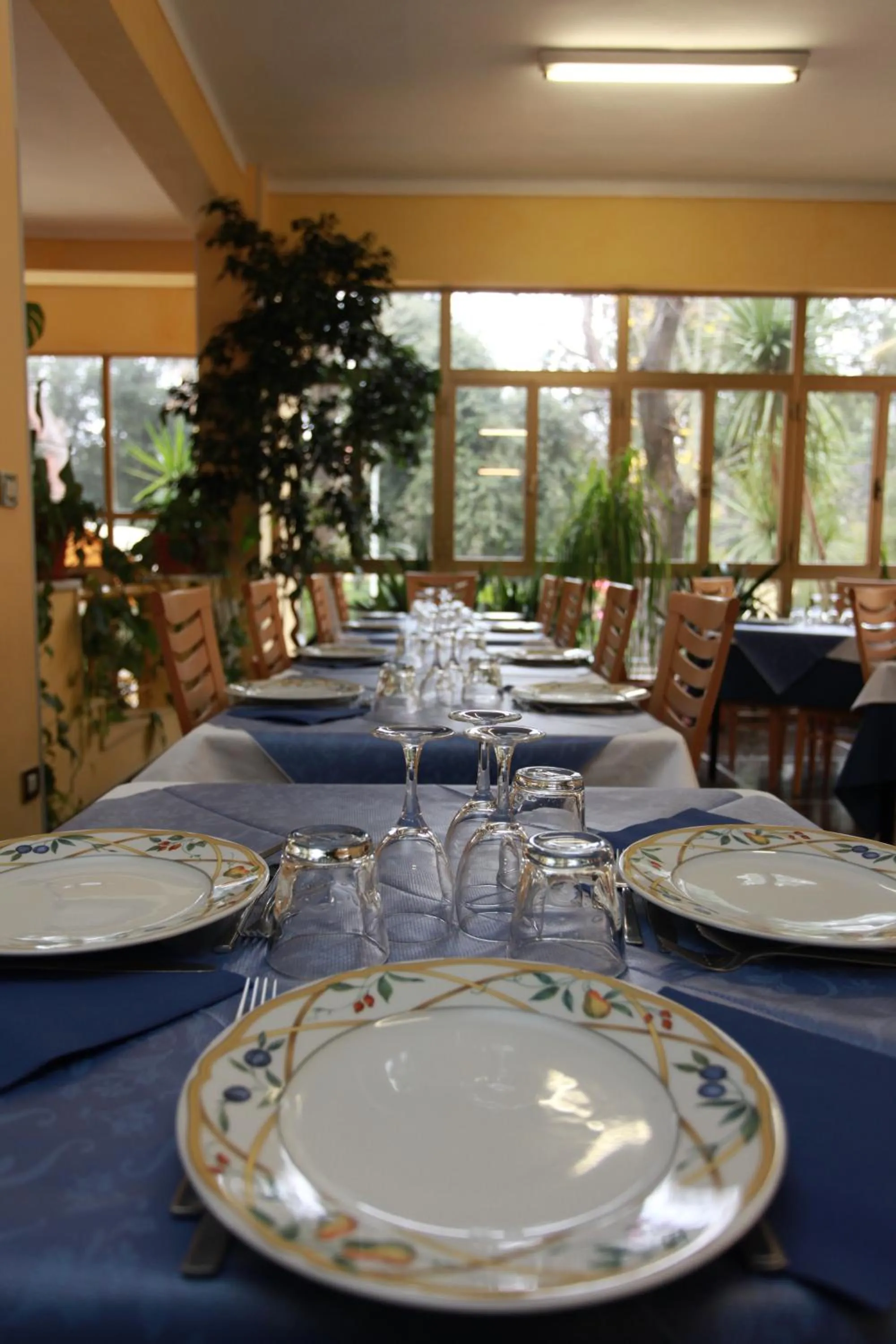 Restaurant/places to eat in Hotel Athena