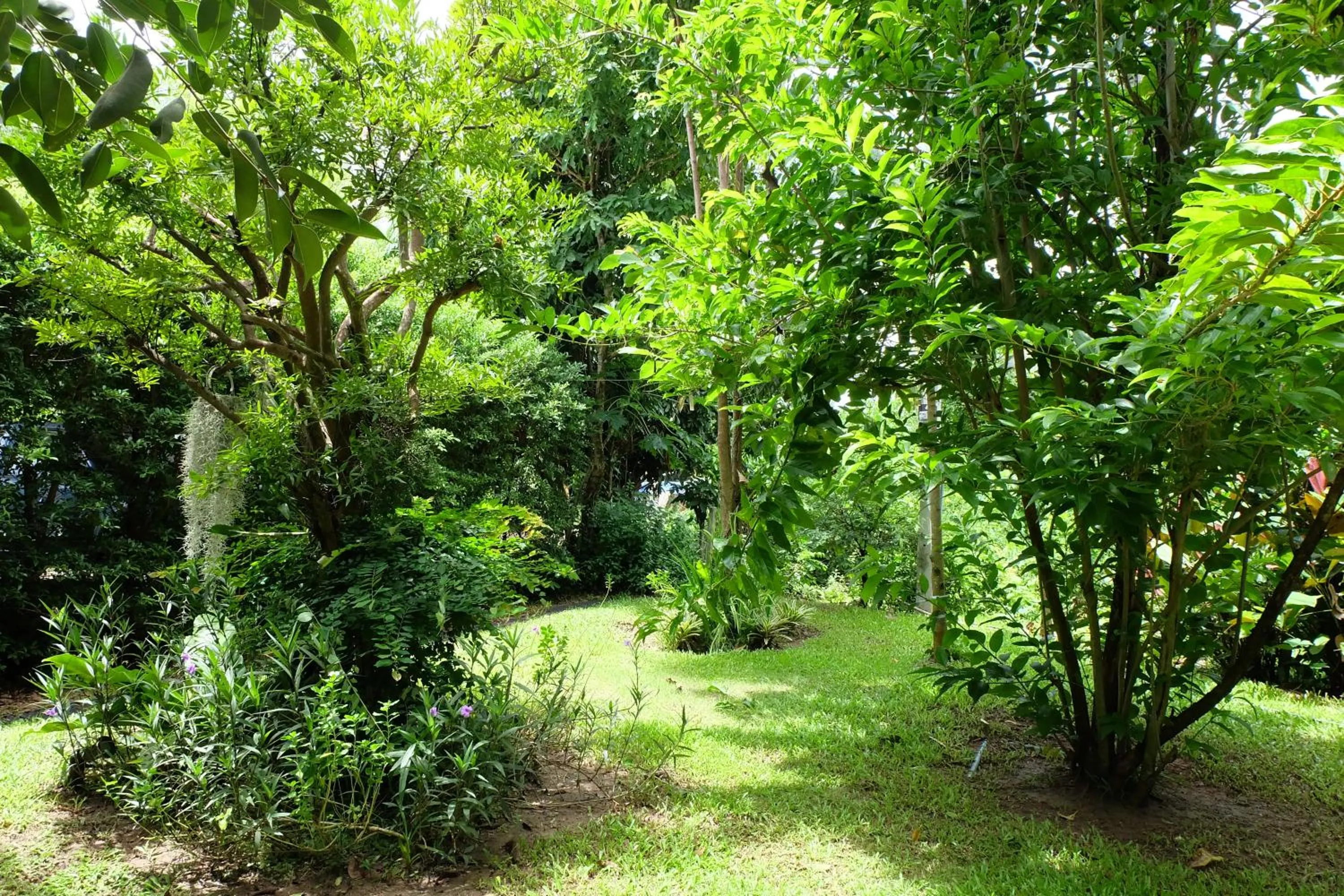 Garden in Rivercreek Estate