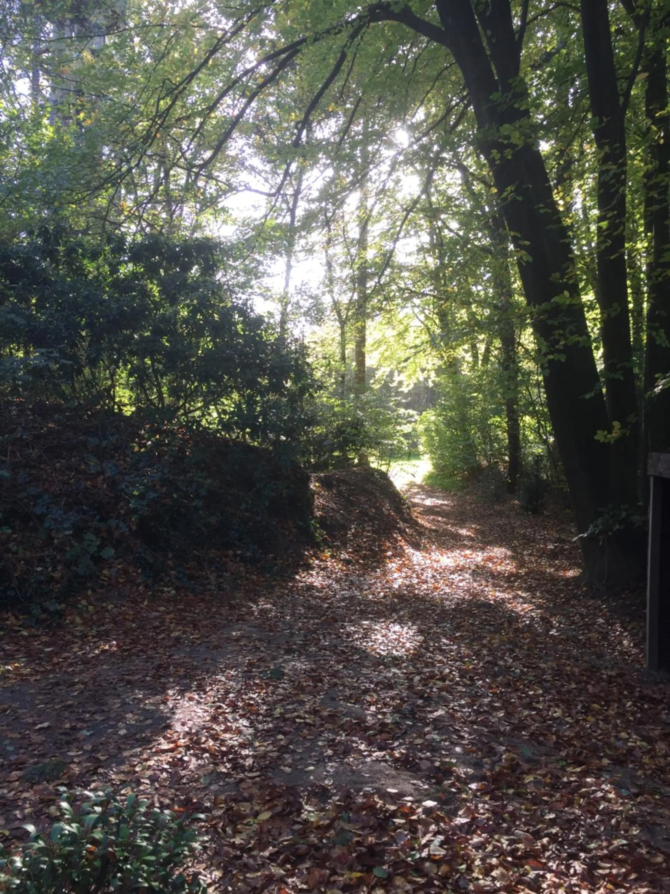 Bos Huisje
