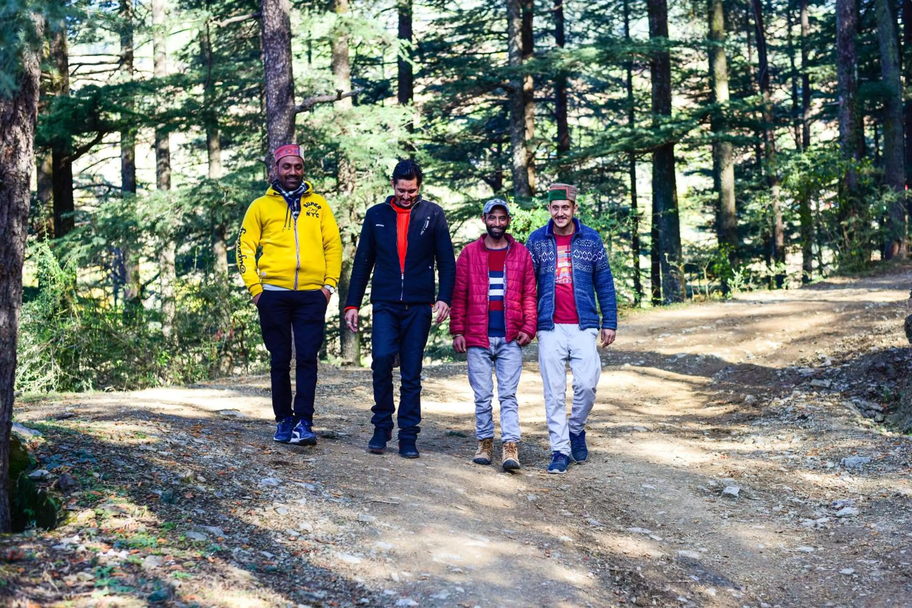 Natural landscape in Zostel Homes Mashobra (Shimla)