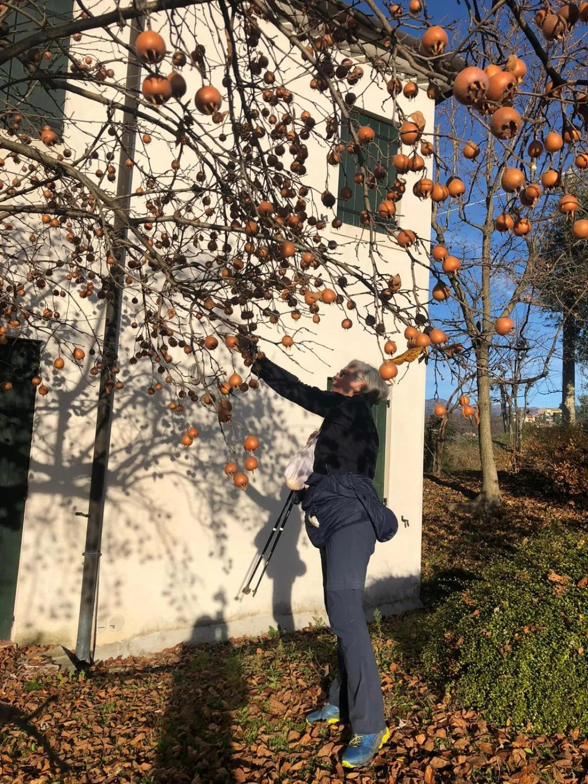 Hiking in Il giuggiolo