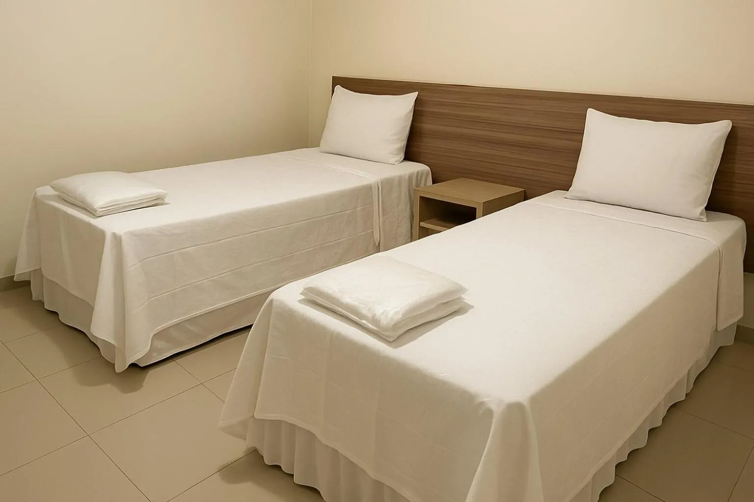 Deluxe Twin Room - single occupancy in Benni Palace Hotel