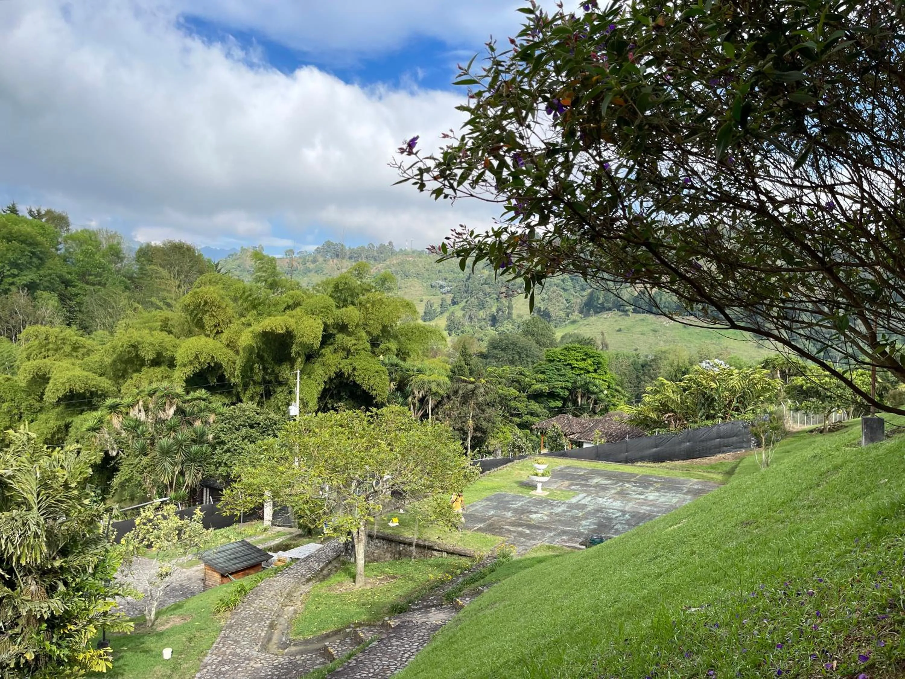 Rancho San Antonio