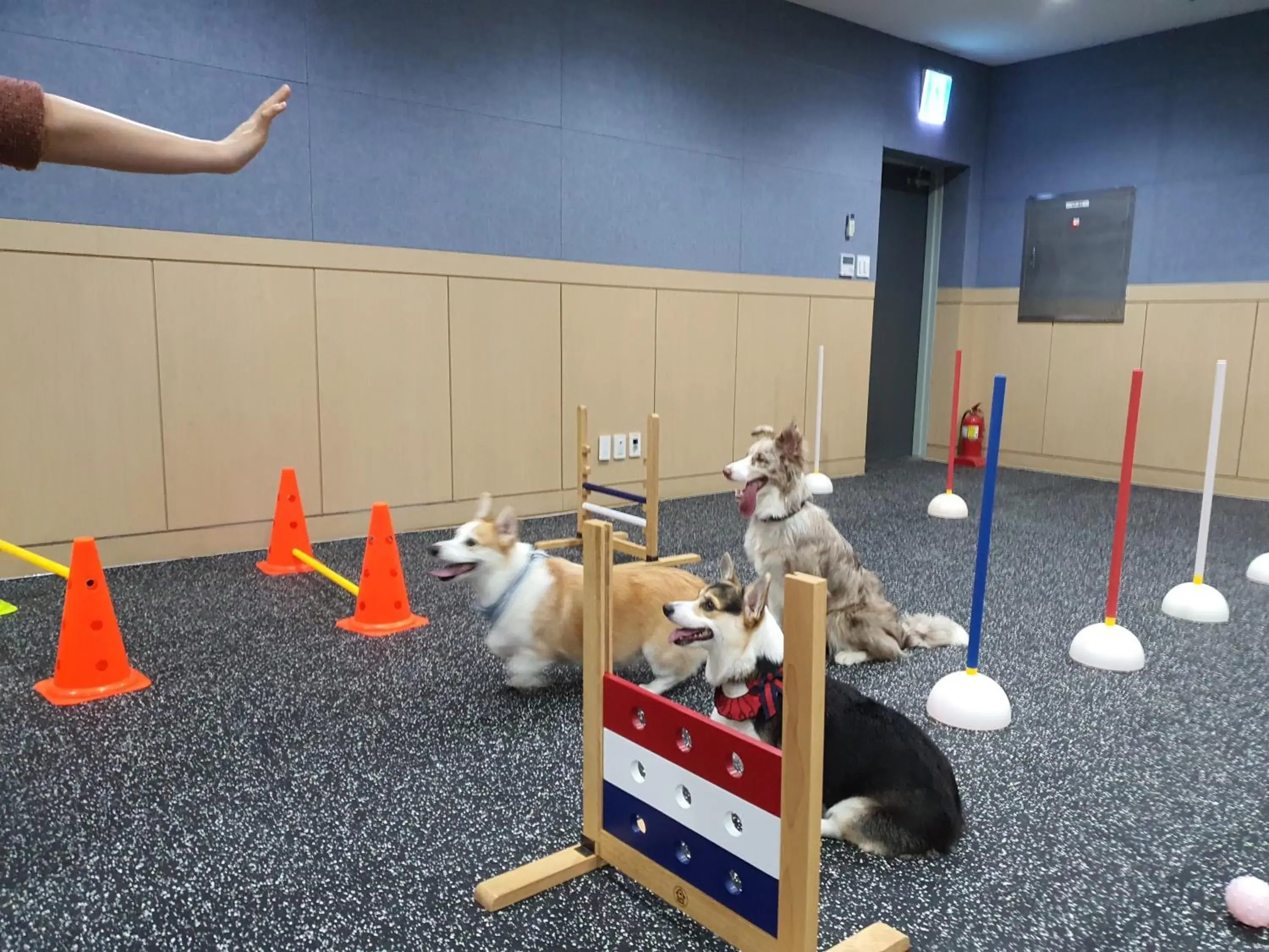 Property building in Hi Jeju Hotel Property building in Hi Jeju Hotel