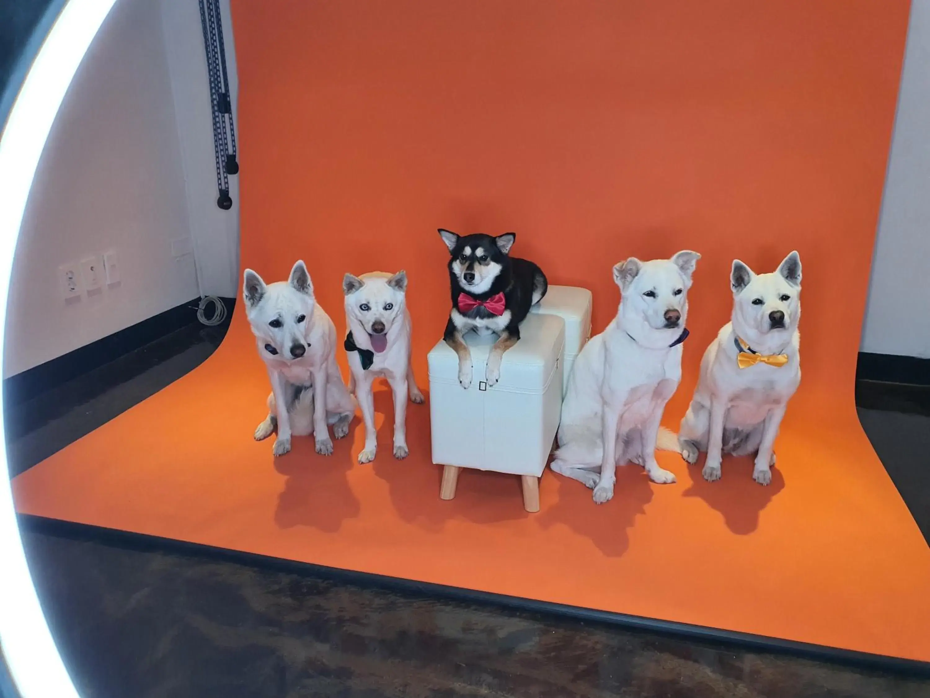 Property building in Hi Jeju Hotel Property building in Hi Jeju Hotel