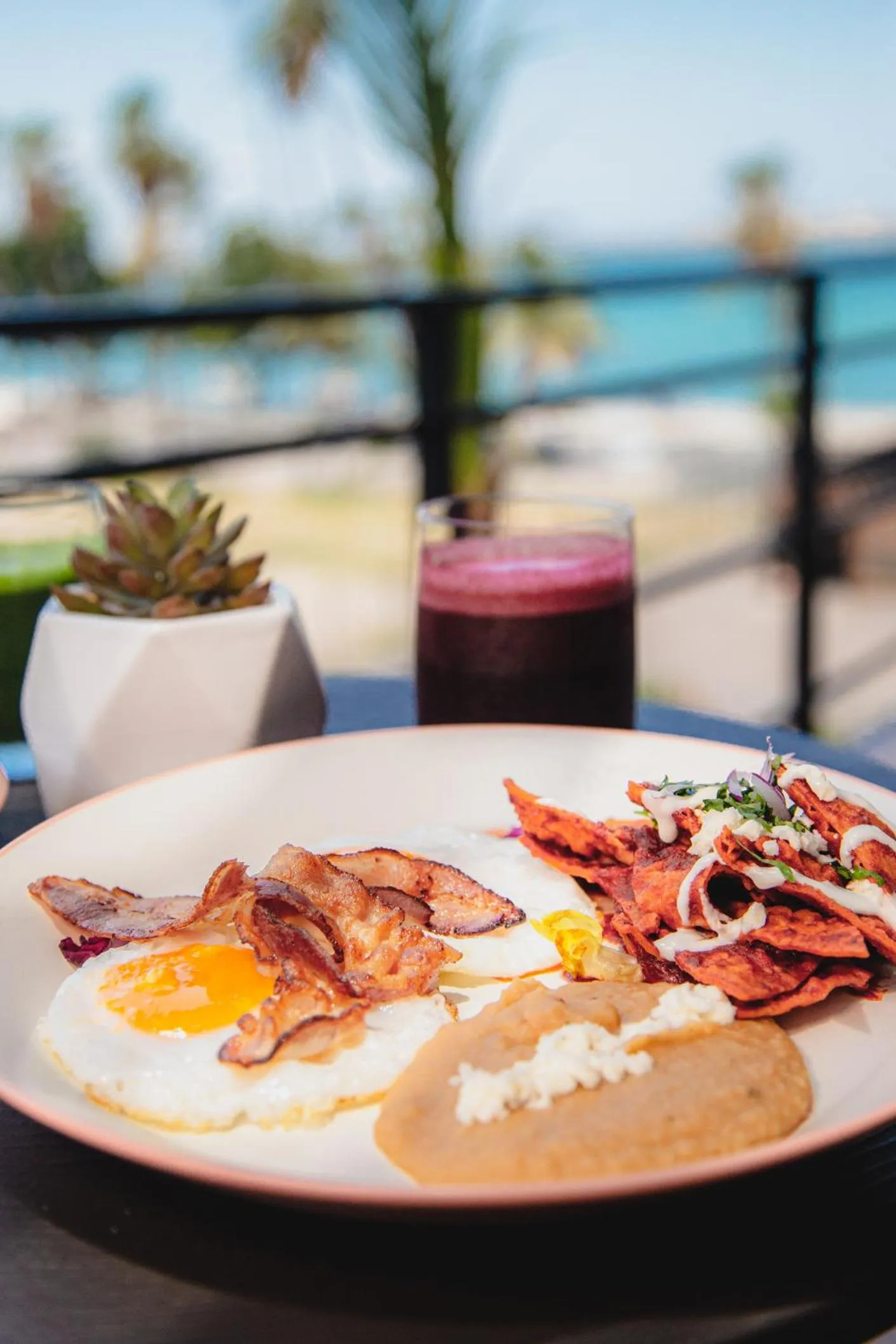 Food and drinks in InHouse Glamping Hotel La Paz