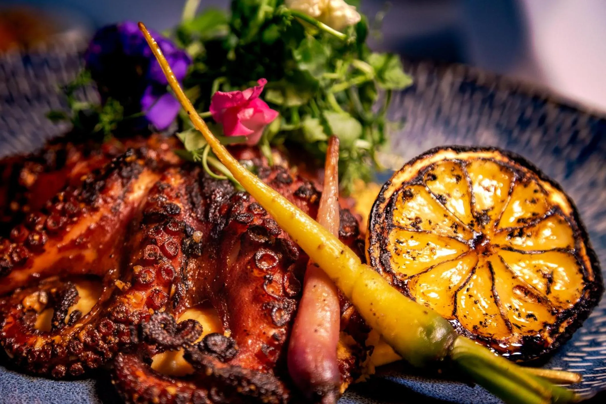 Food and drinks in InHouse Glamping Hotel La Paz