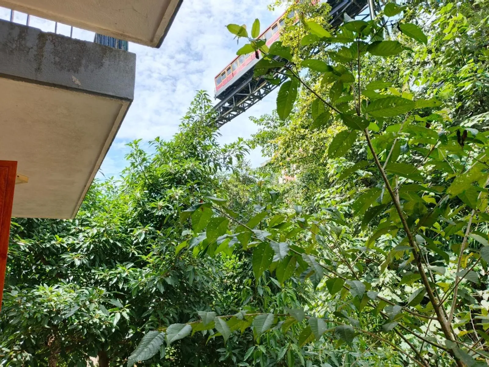 Natural landscape in Sapa Scenery Hotel