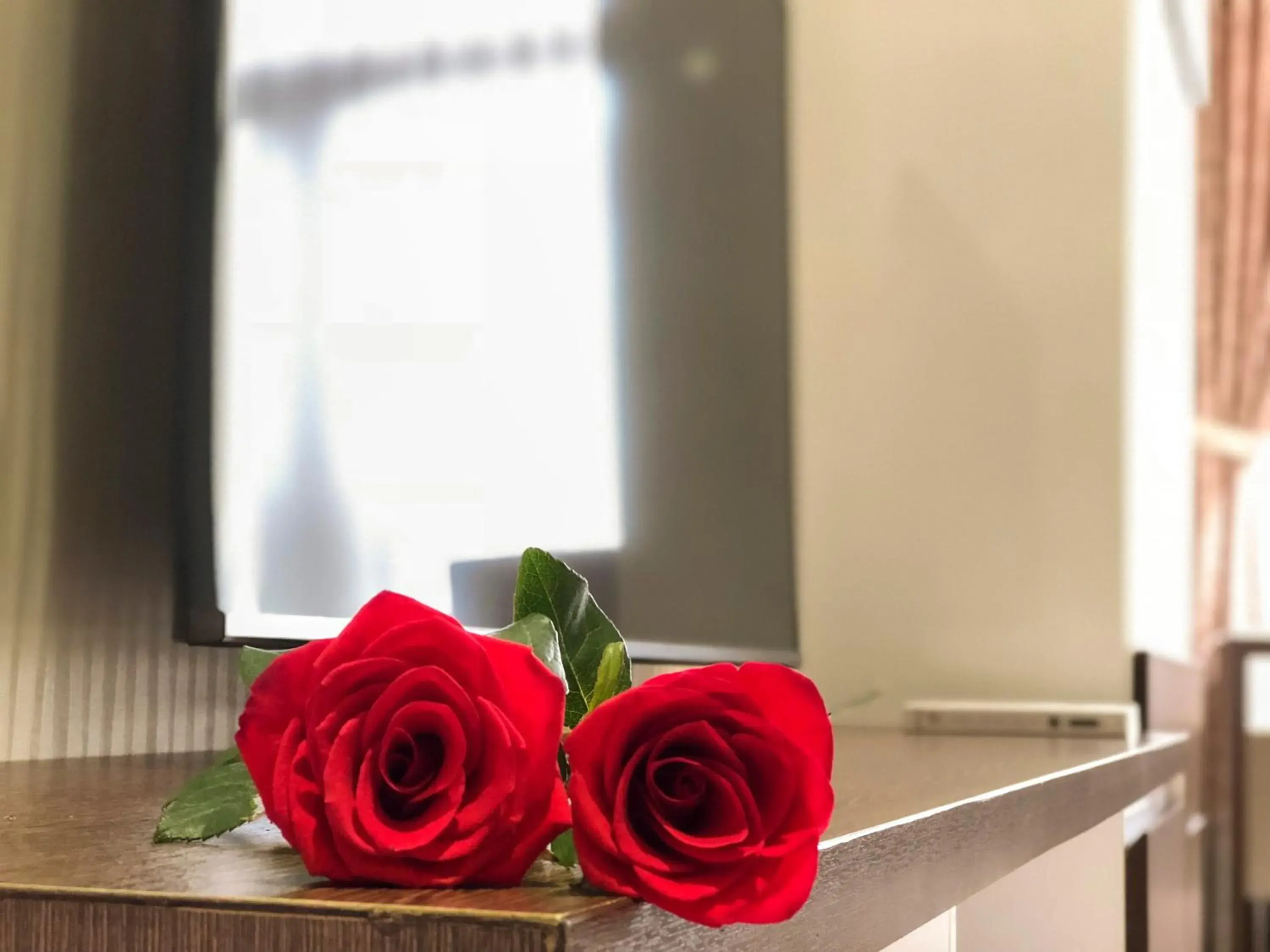 Area and facilities in Sunny Serviced Apartment Area and facilities in Sunny Serviced Apartment