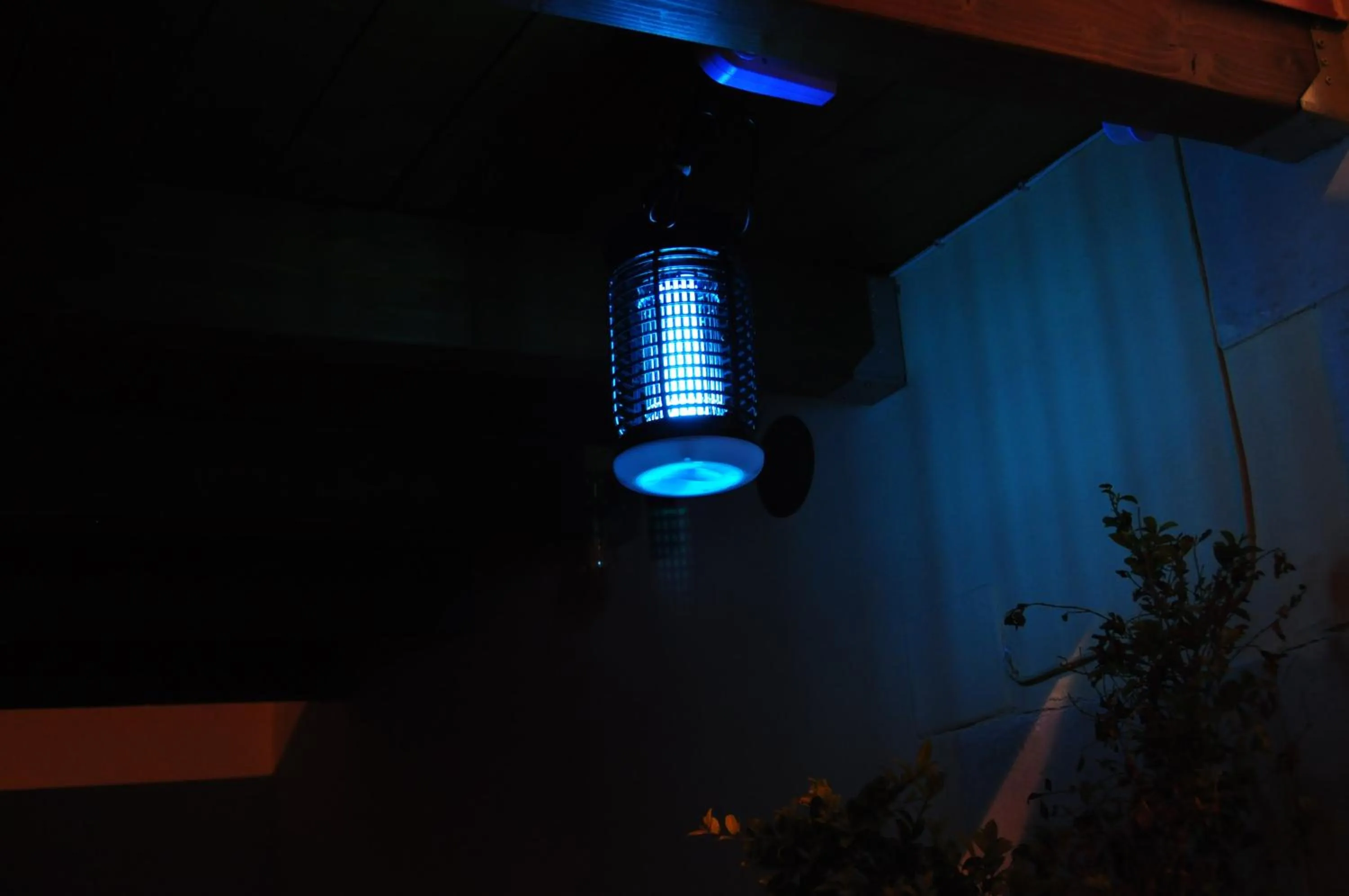 Garden in 7 Contrade