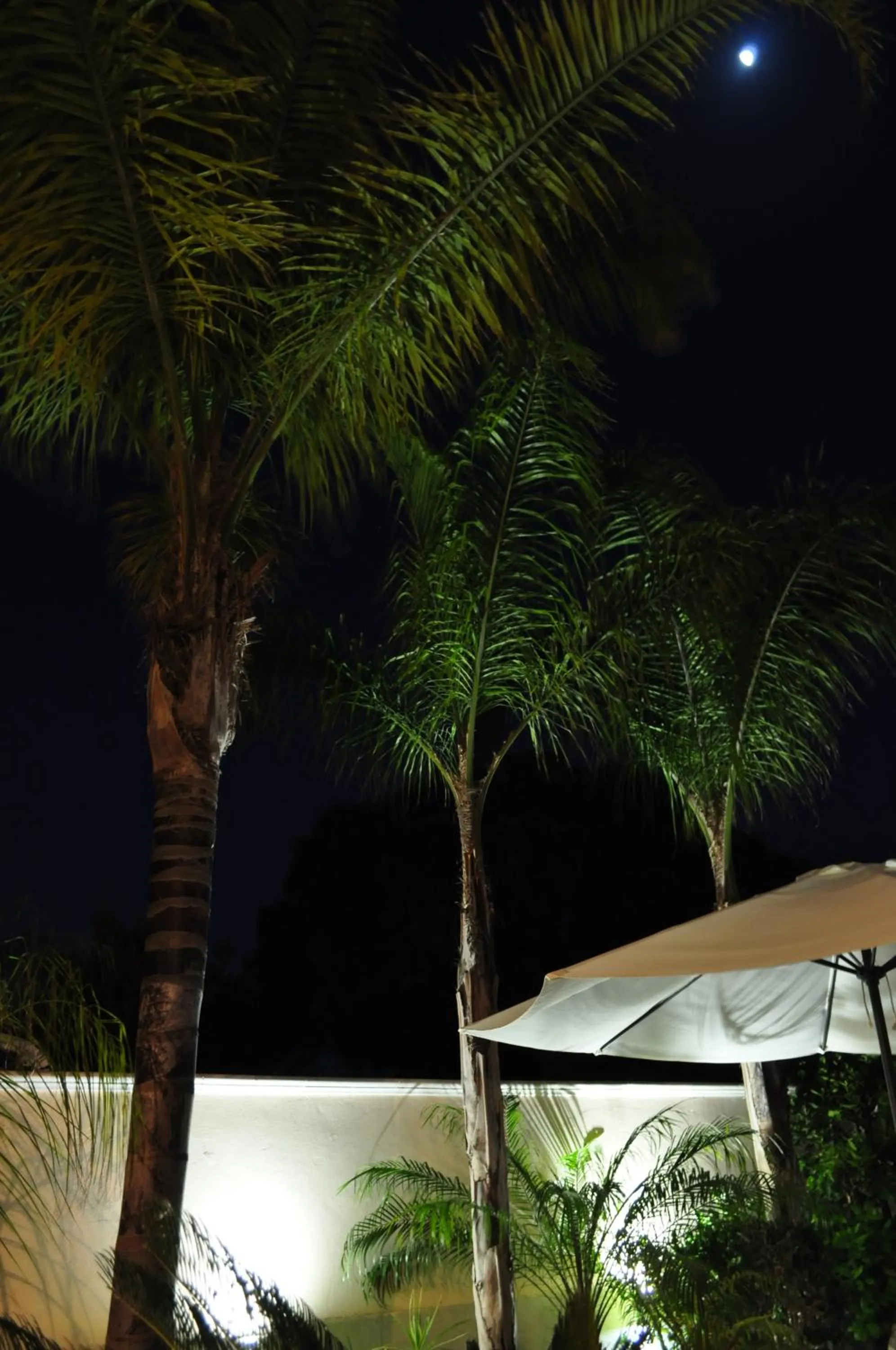 Garden in 7 Contrade