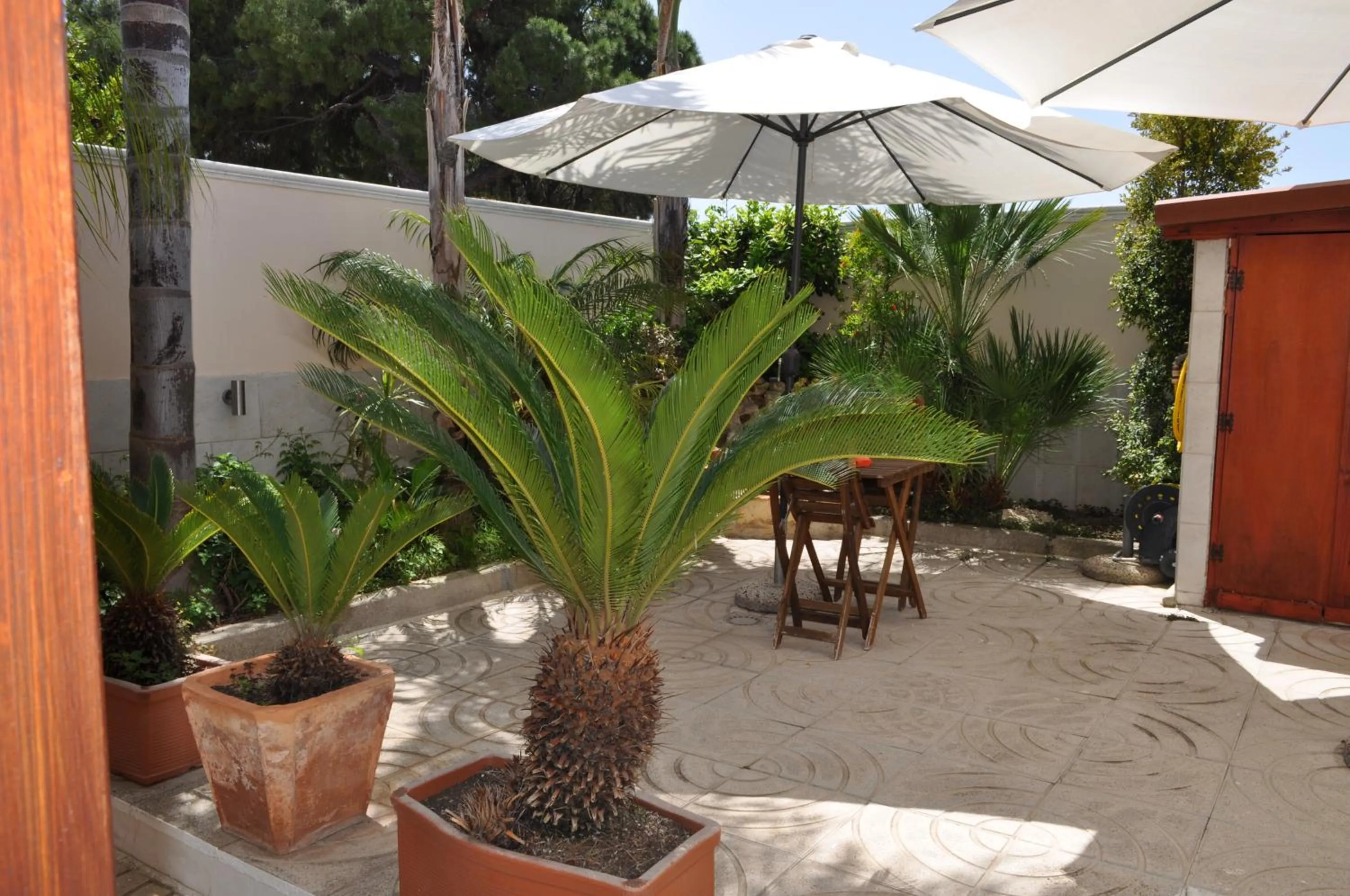 Garden in 7 Contrade