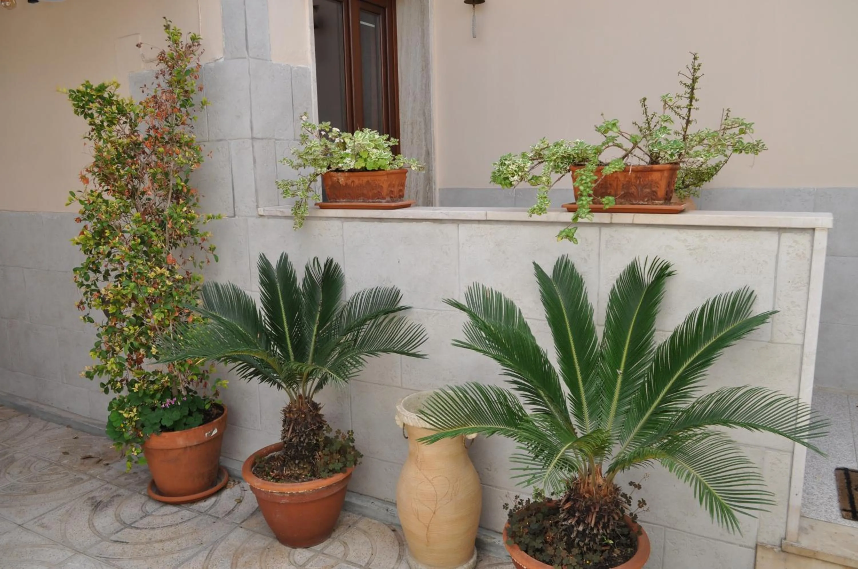 Garden in 7 Contrade