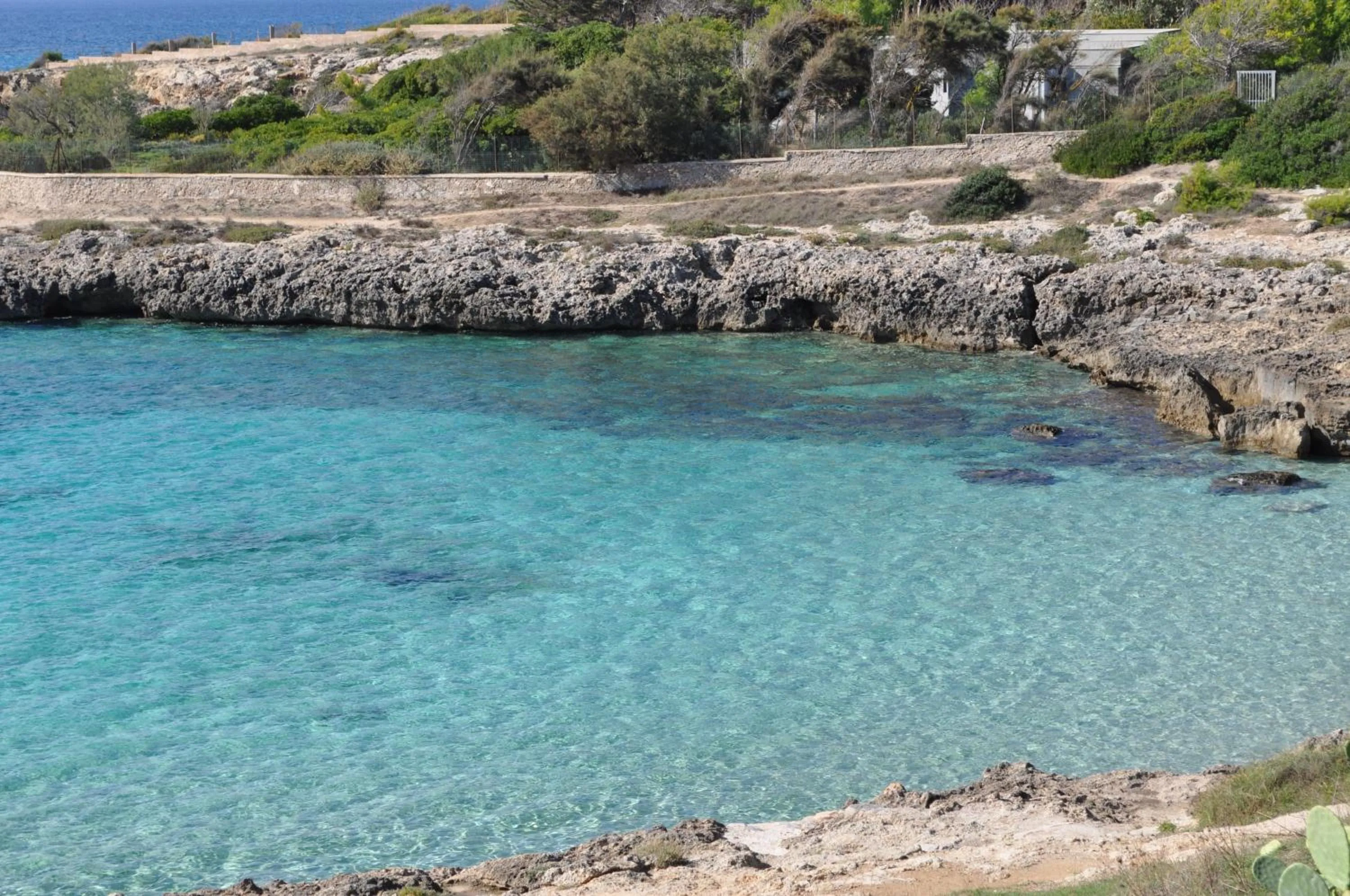 Nearby landmark in 7 Contrade