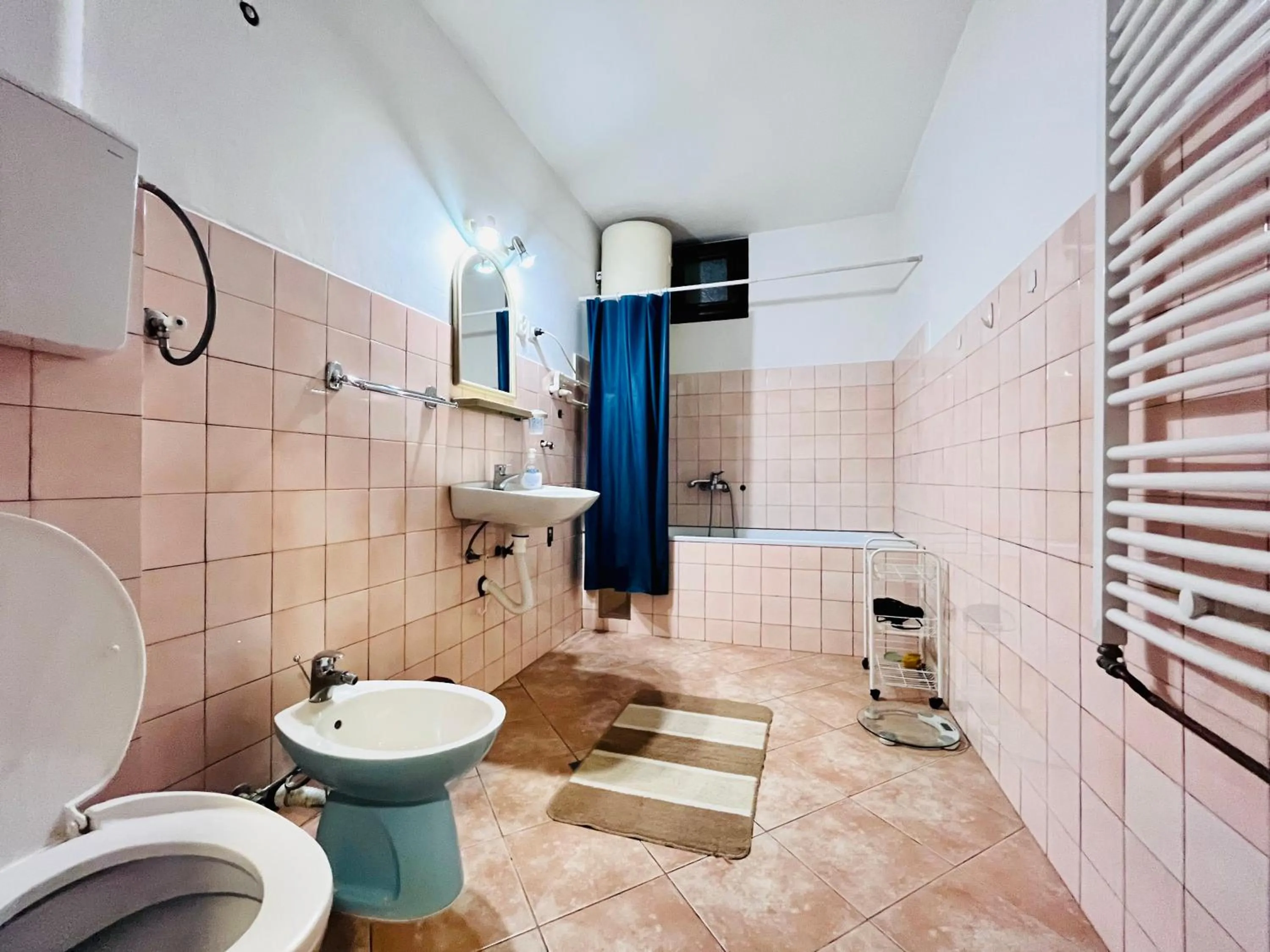 Apartment Viktorija