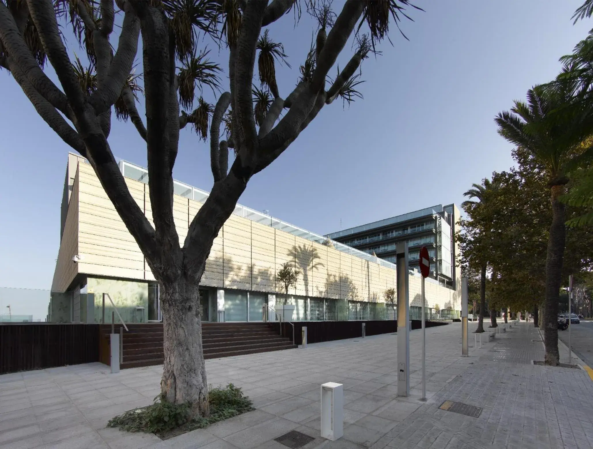 Facade/entrance in Parador de Cádiz Facade/entrance in Parador de Cádiz