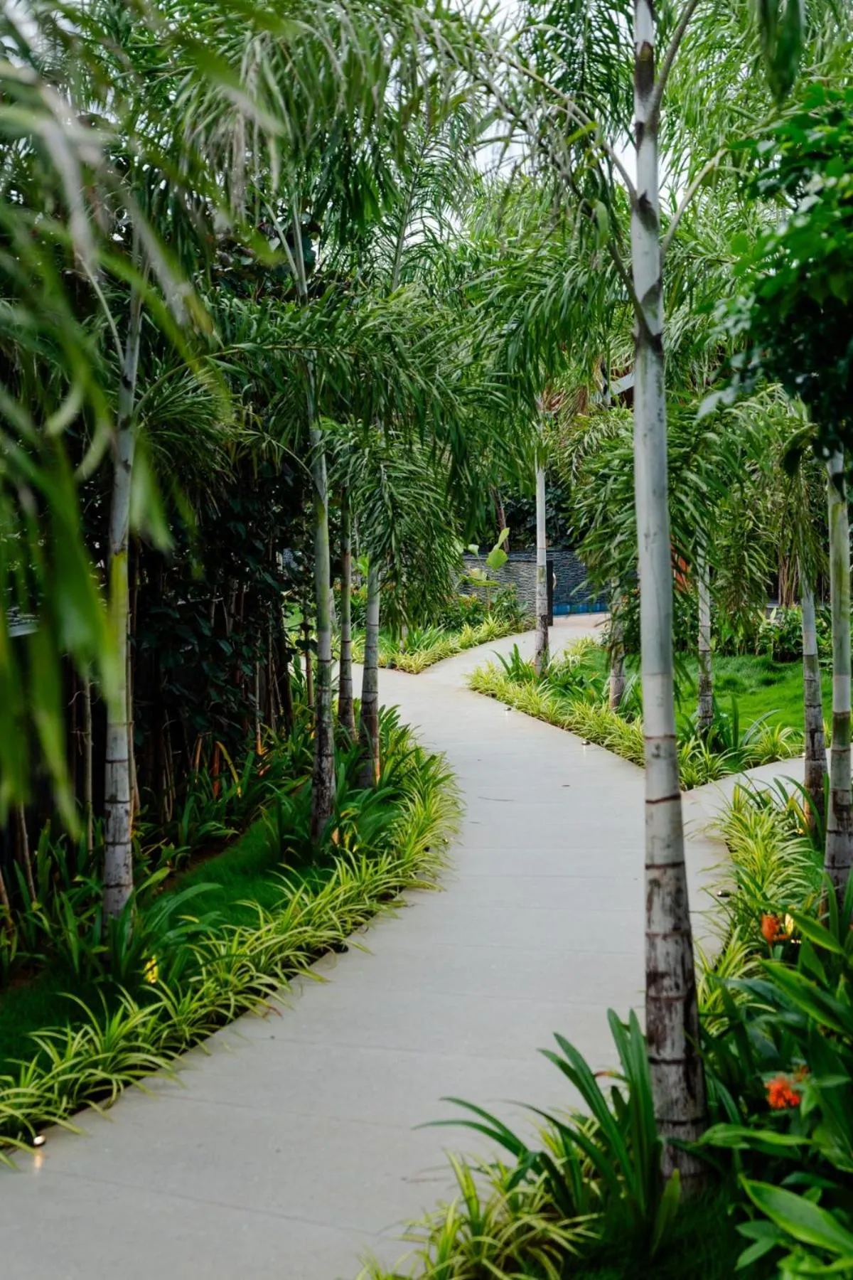Garden view in Forrest