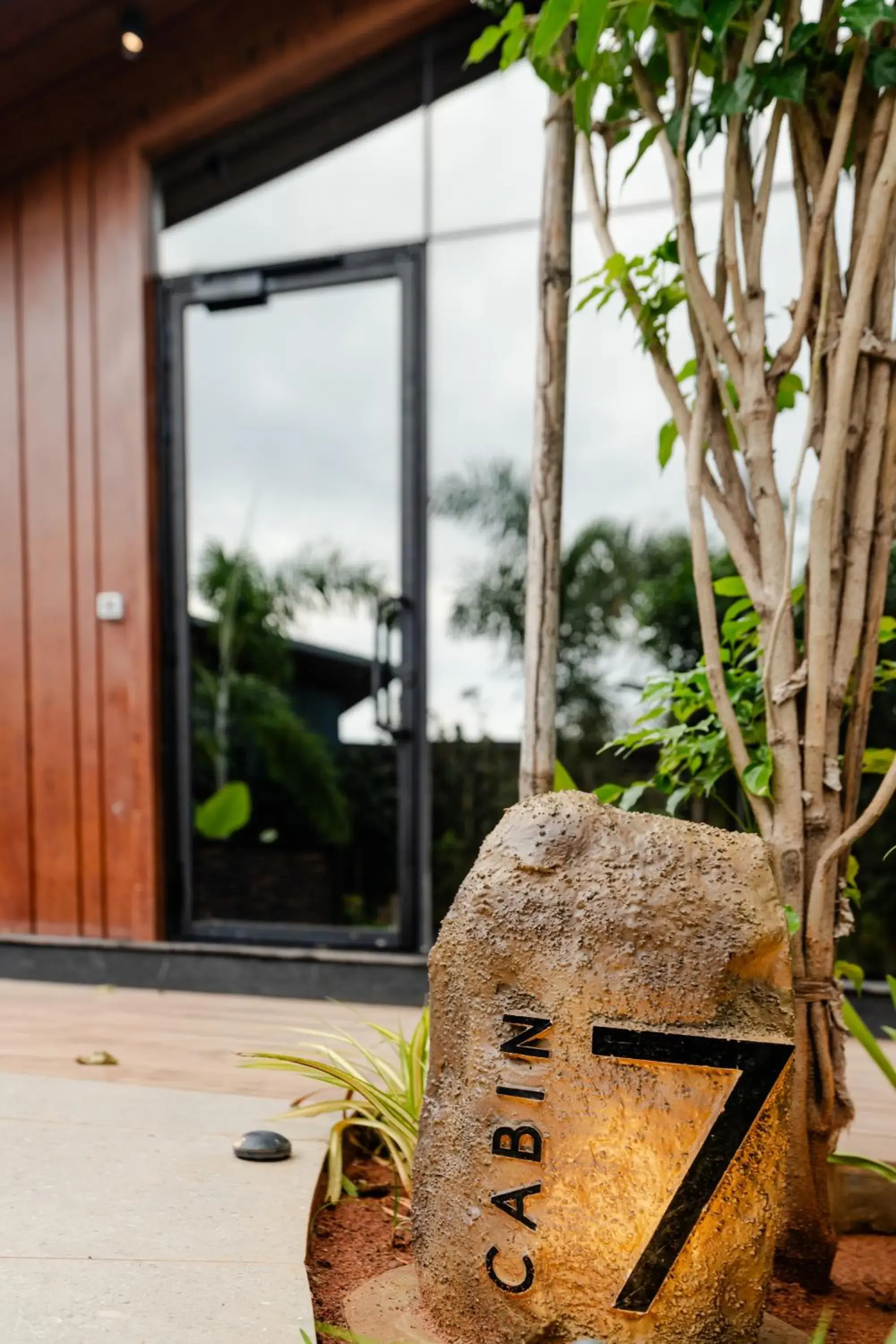 King Room in Forrest King Room in Forrest