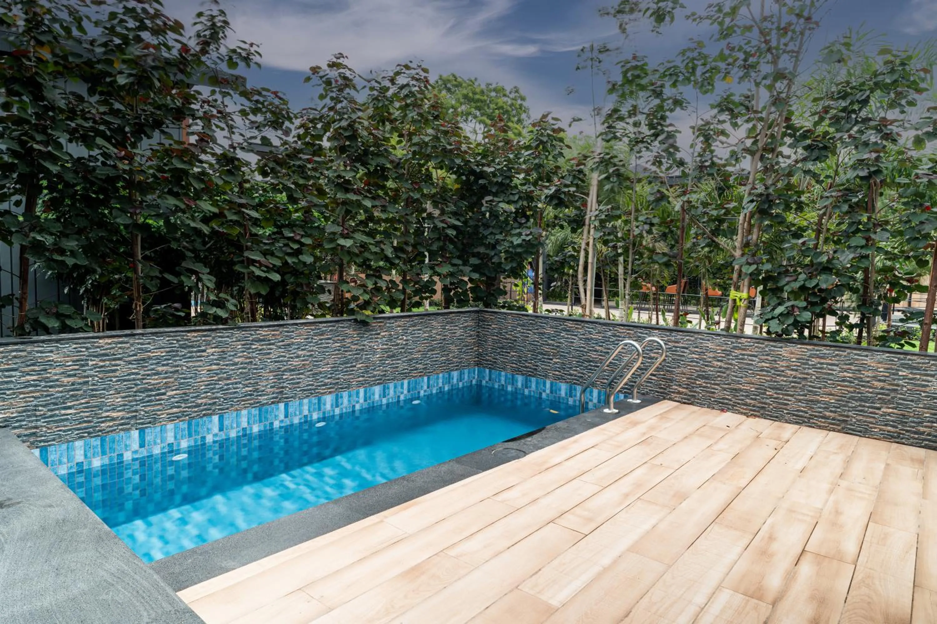 Natural landscape in Forrest