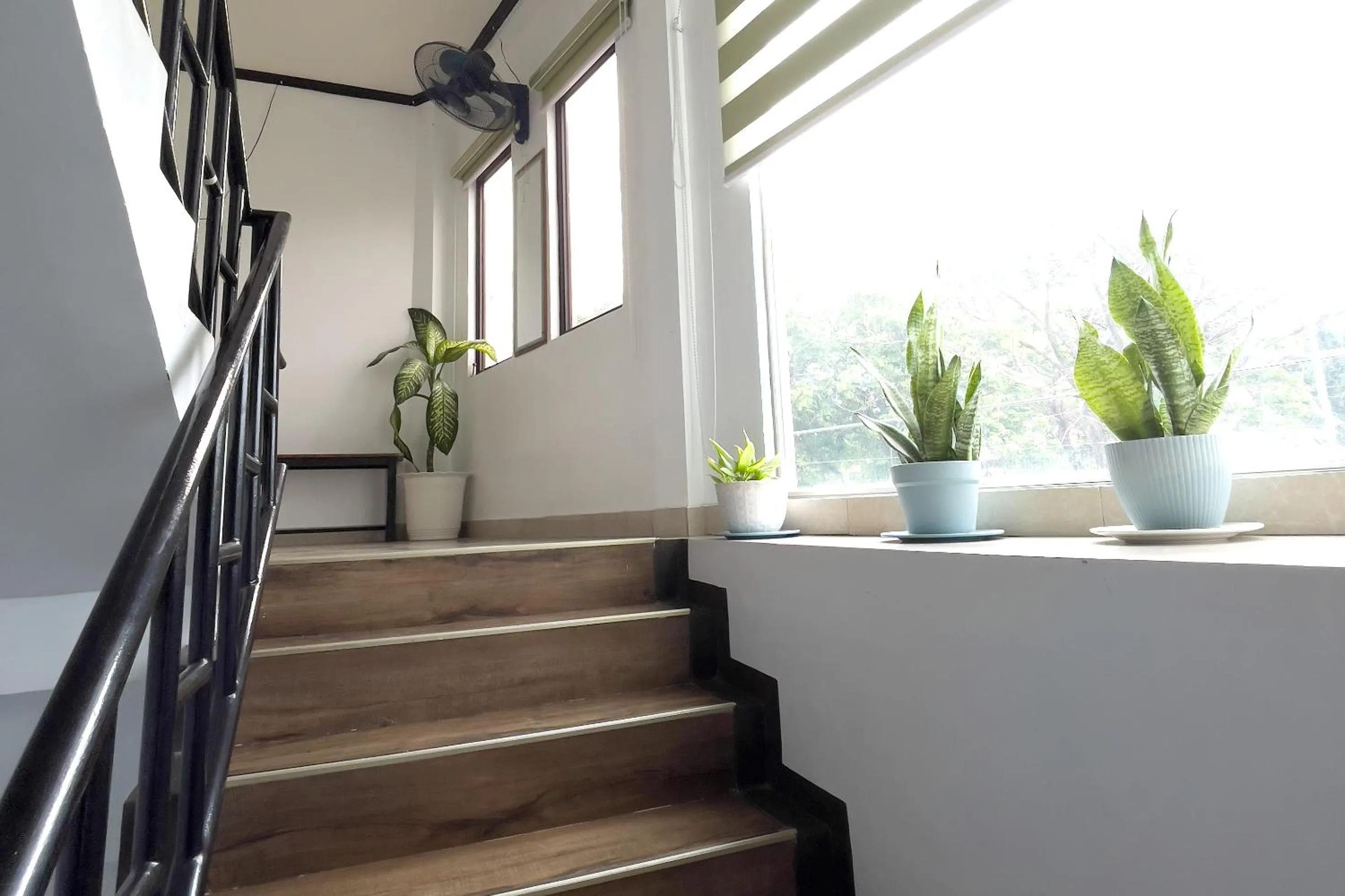 Catappa Lodge Puerto Galera