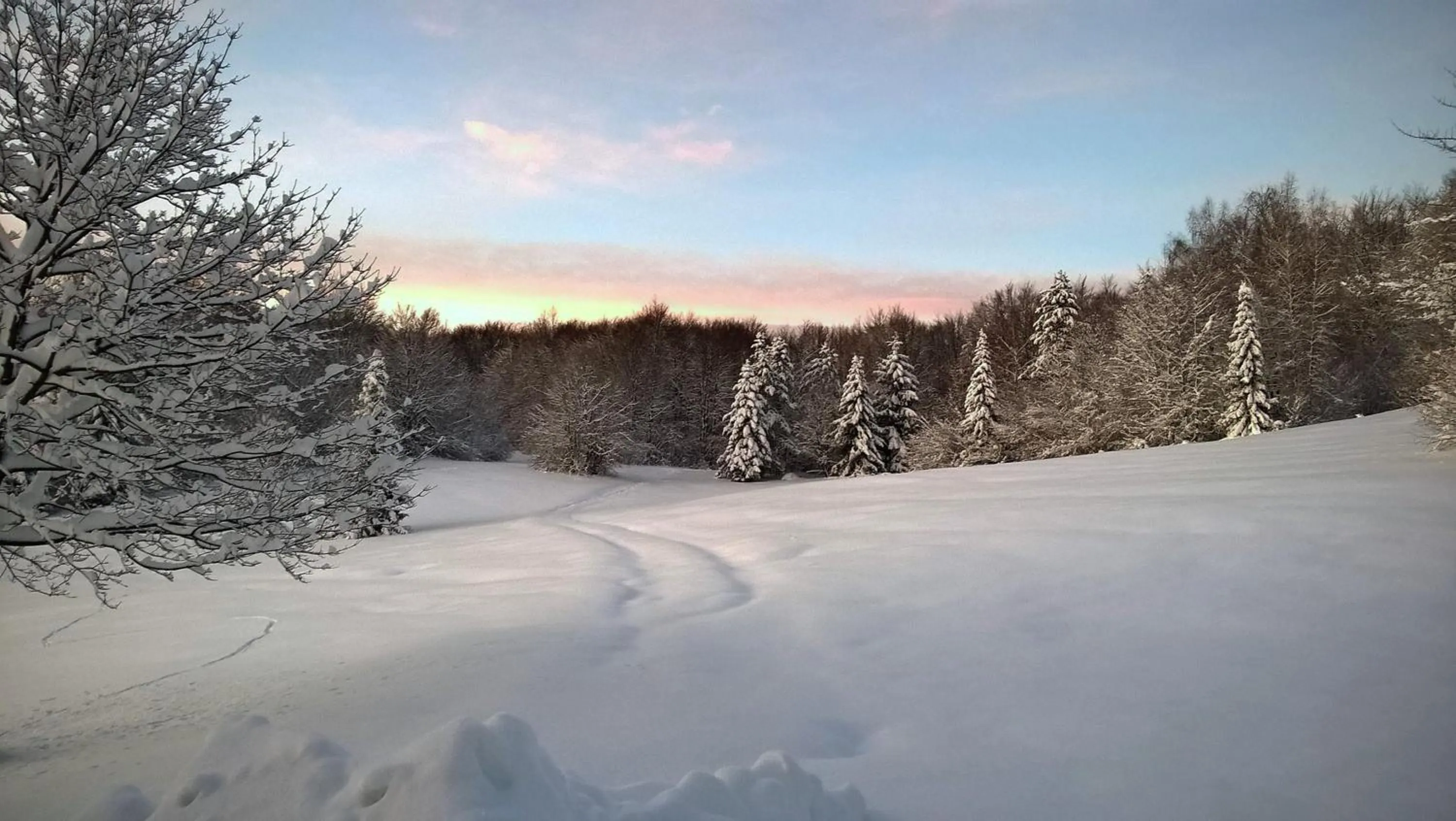 Natural landscape in Guesthouse Bor Plitvice Lakes