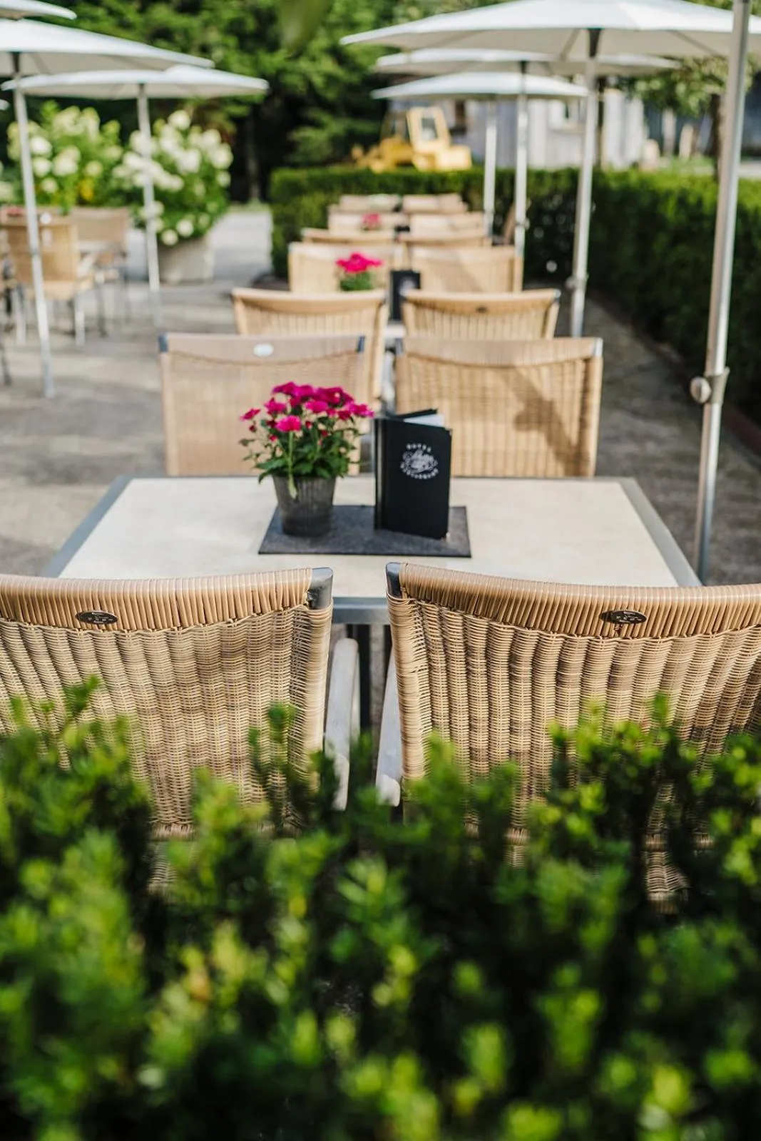 Restaurant/places to eat in Schettereggerhof