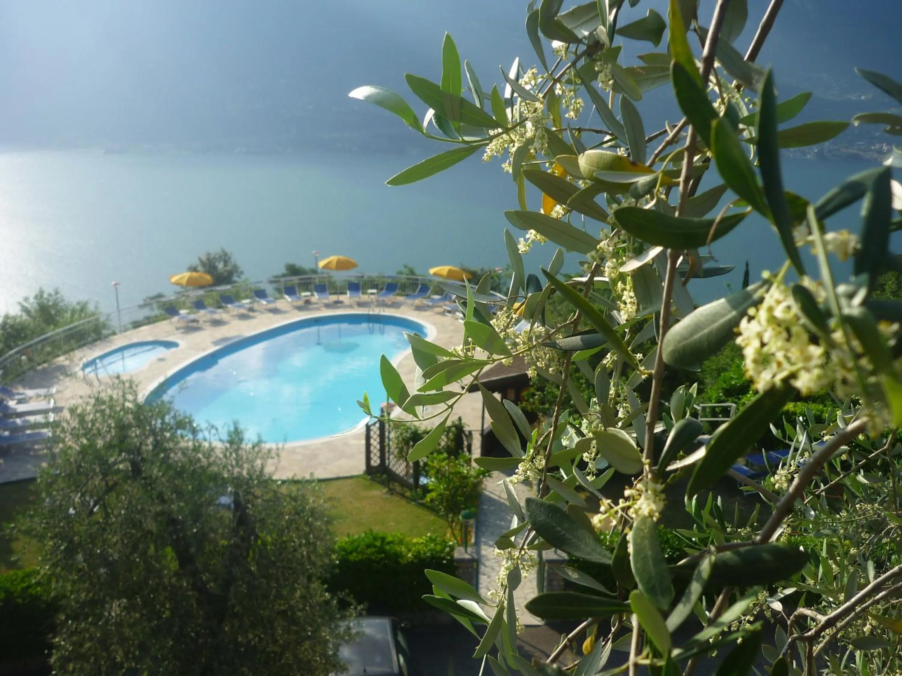 Garden in Residence Hotel Maxi