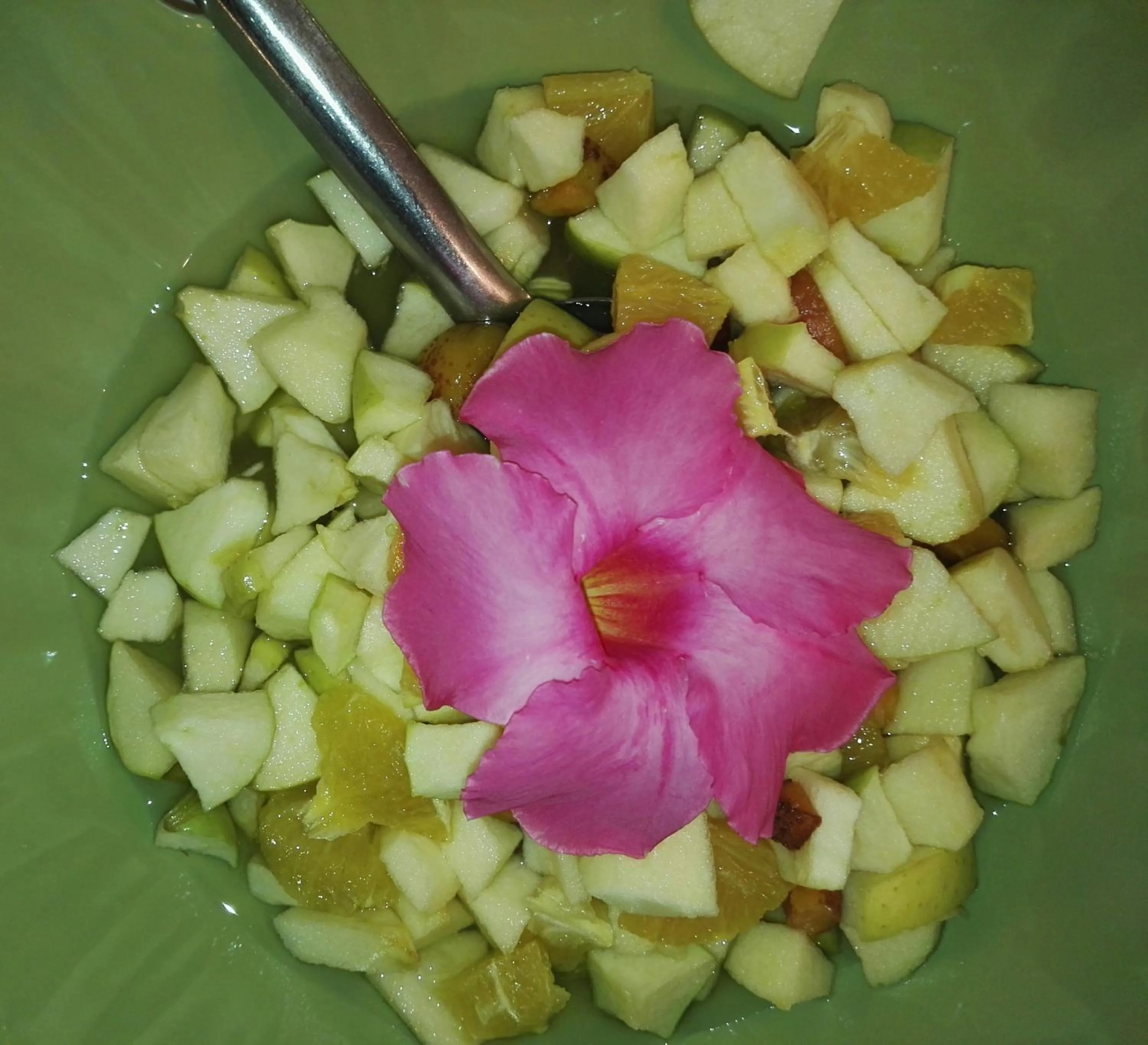 Food in Residence Hotel Maxi