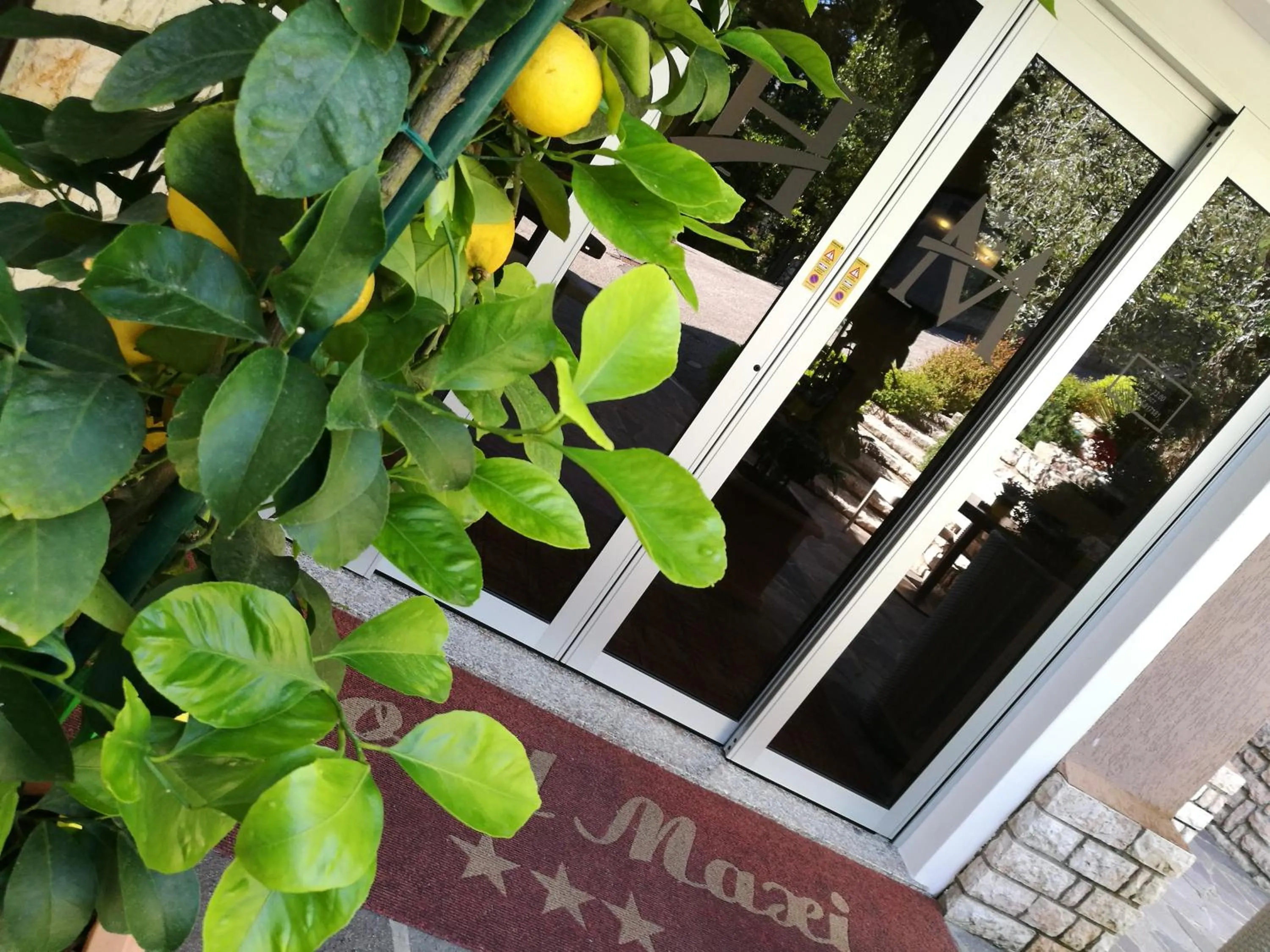 Facade/entrance in Residence Hotel Maxi