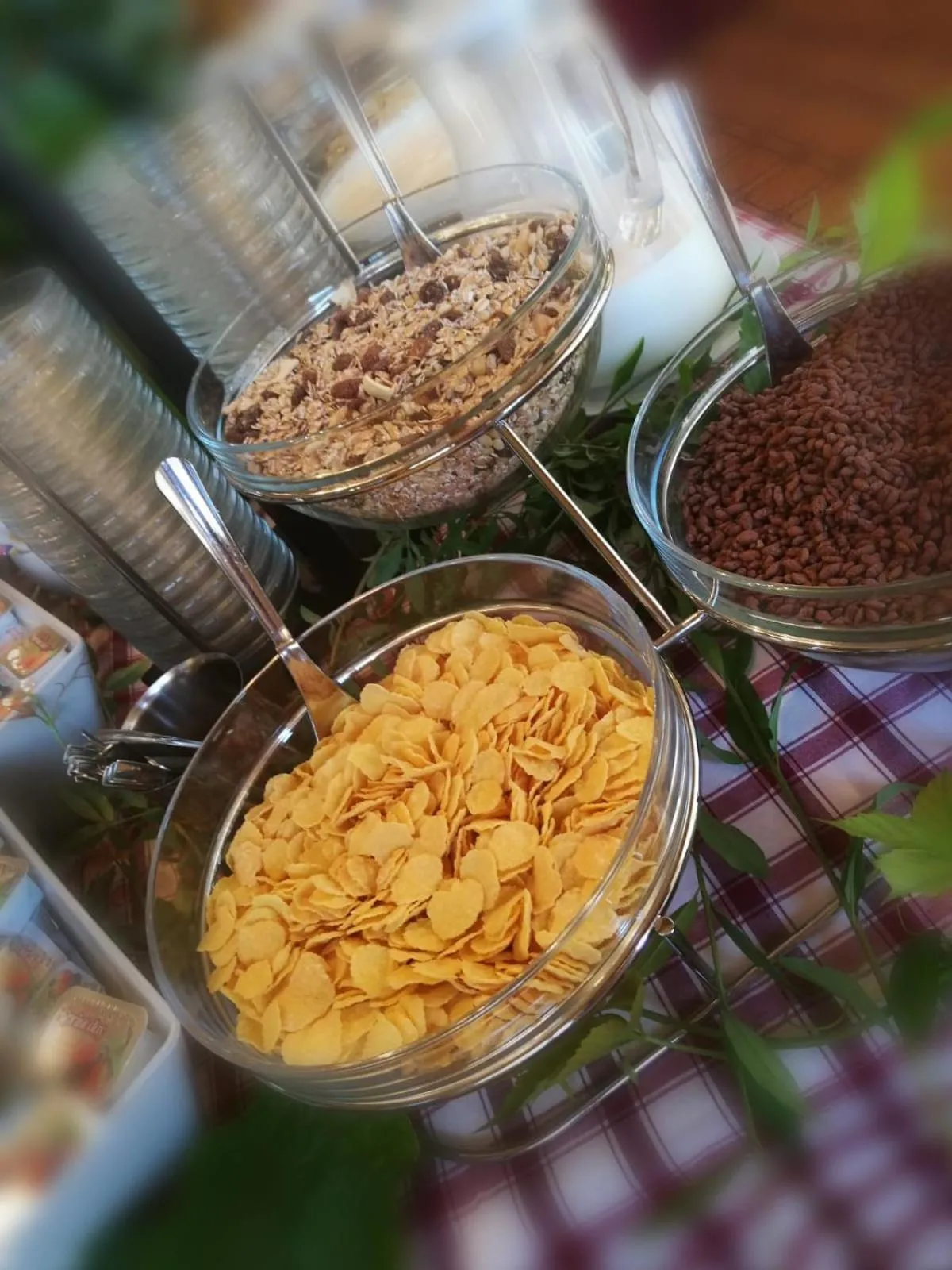 Buffet breakfast in Residence Hotel Maxi