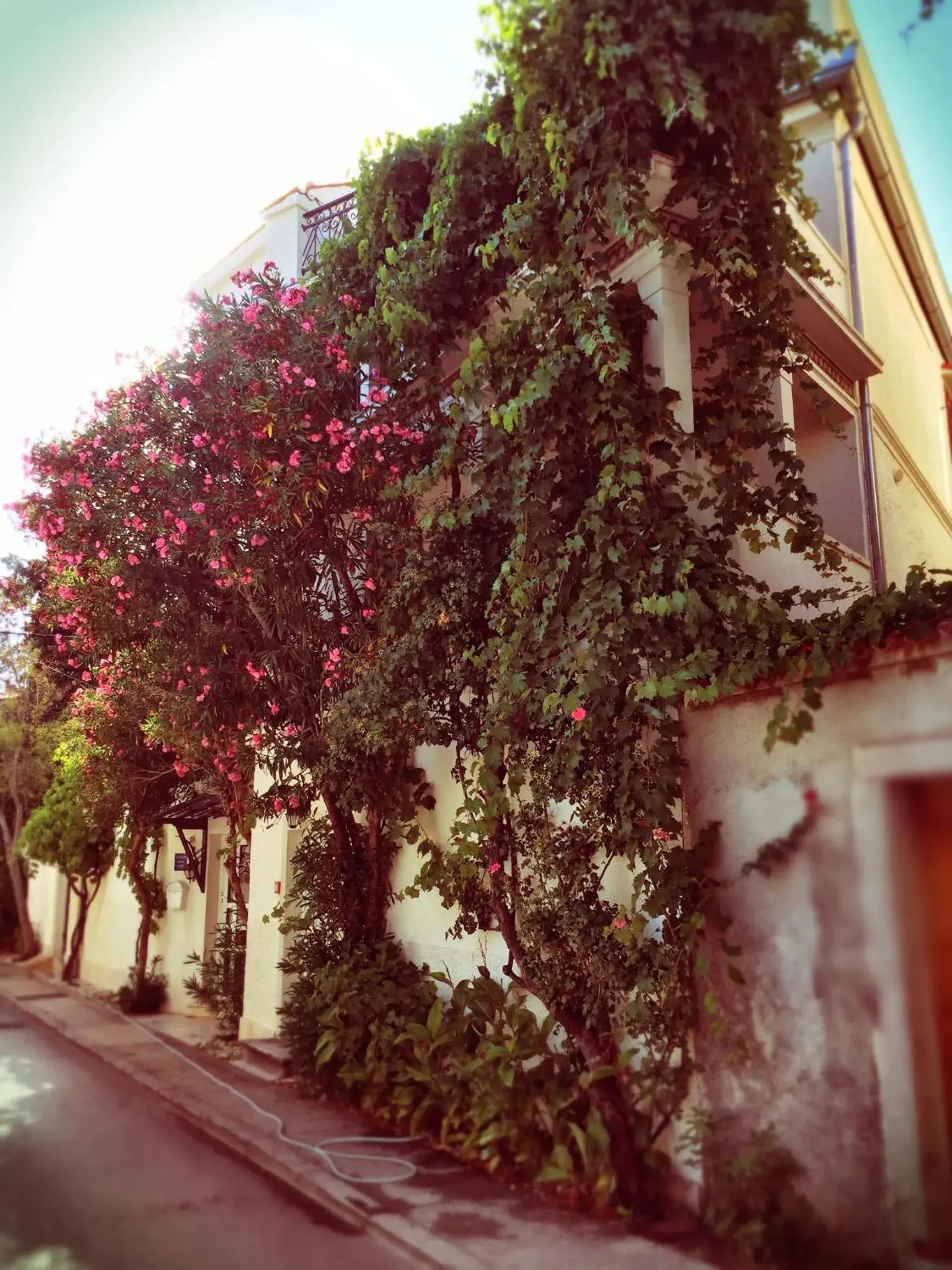 Guest House Neho Guest House Neho