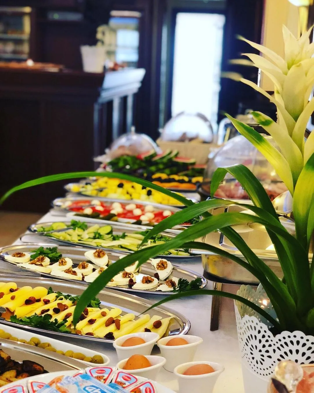 Food and drinks in Guest House Neho