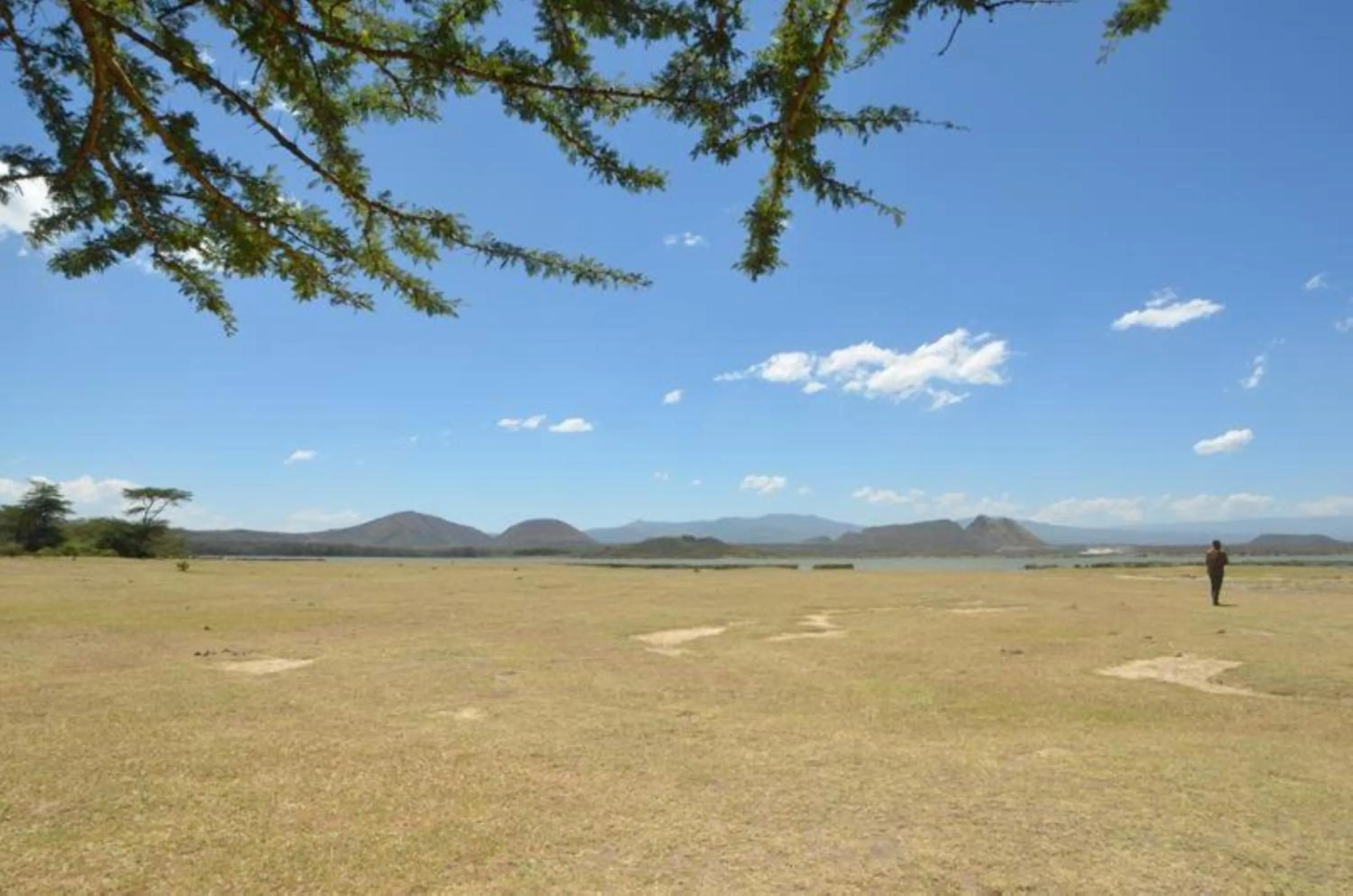 Natural landscape in Jacaranda Lake Elementaita Lodge