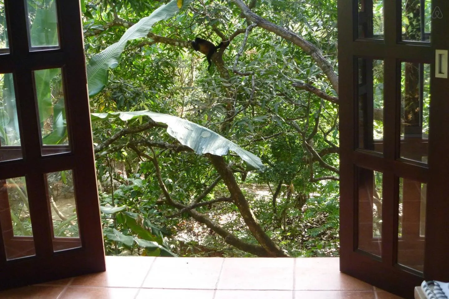 View (from property/room) in Luz En El Cielo Eco-B&B/Hostel