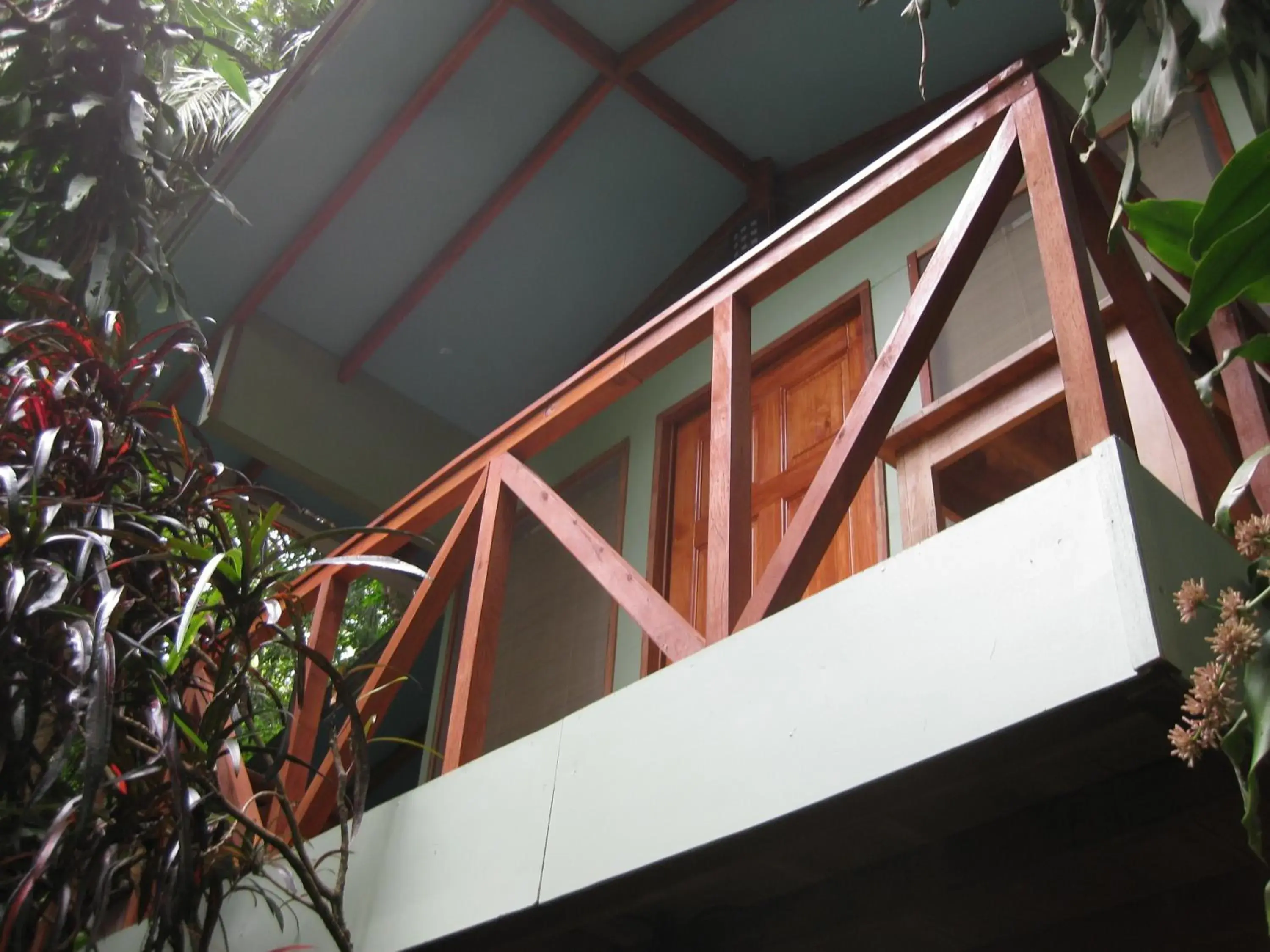 Bed in 6-Bed Mixed Dormitory Room in Luz En El Cielo Eco-B&B/Hostel Bed in 6-Bed Mixed Dormitory Room in Luz En El Cielo Eco-B&B/Hostel