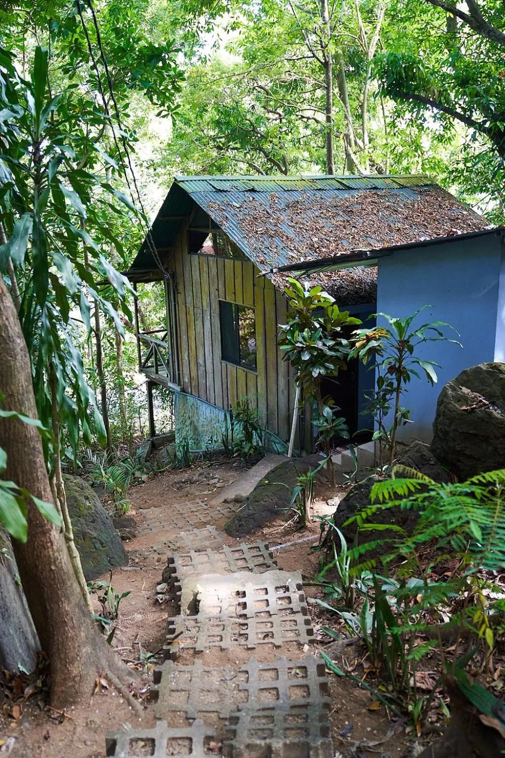 Luz En El Cielo Eco-B&B/Hostel