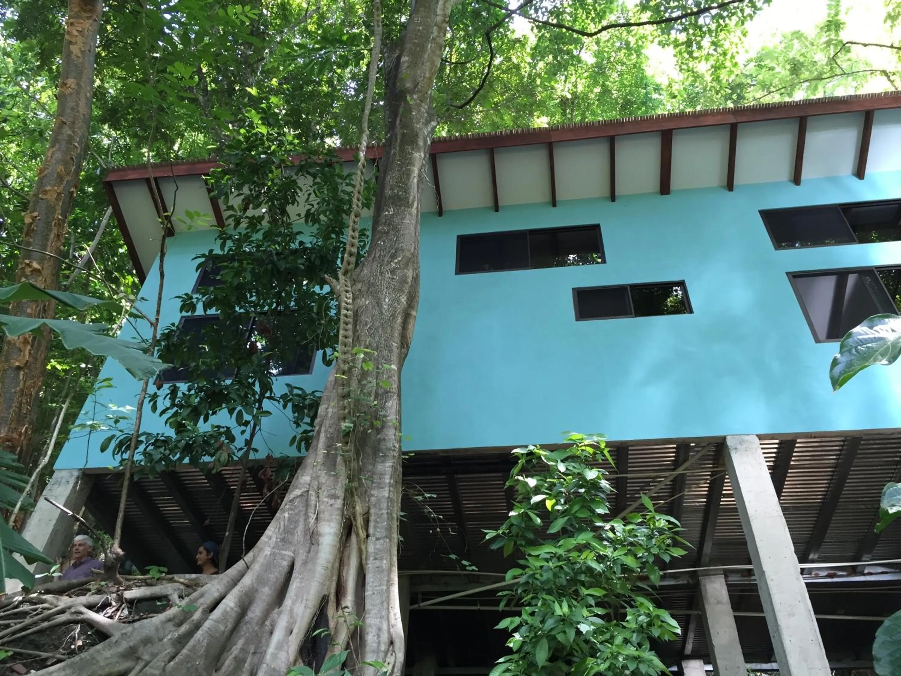 Property building in Luz En El Cielo Eco-B&B/Hostel