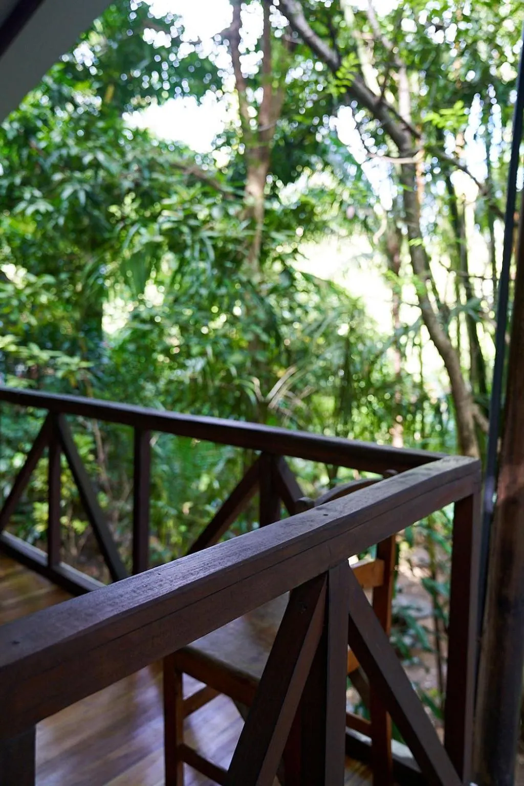 Luz En El Cielo Eco-B&B/Hostel