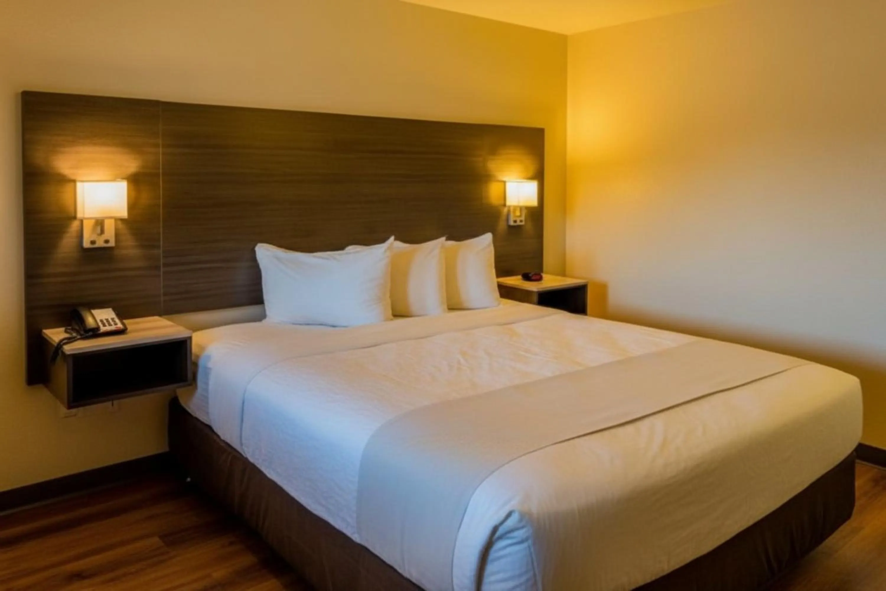 Bedroom, Bed in OYO Hotel Yoakum West